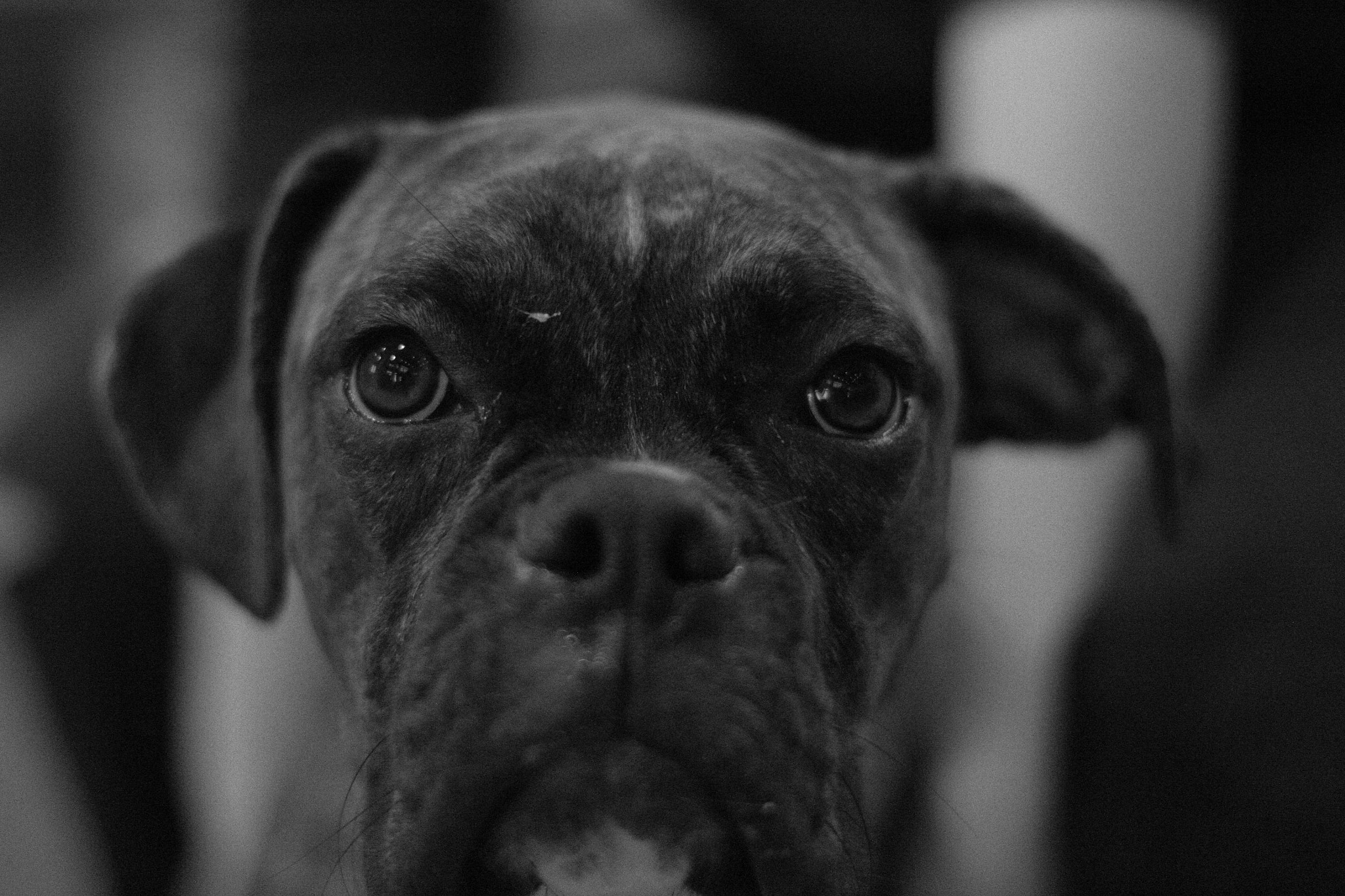Canon EF 50mm F1.4 USM sample photo