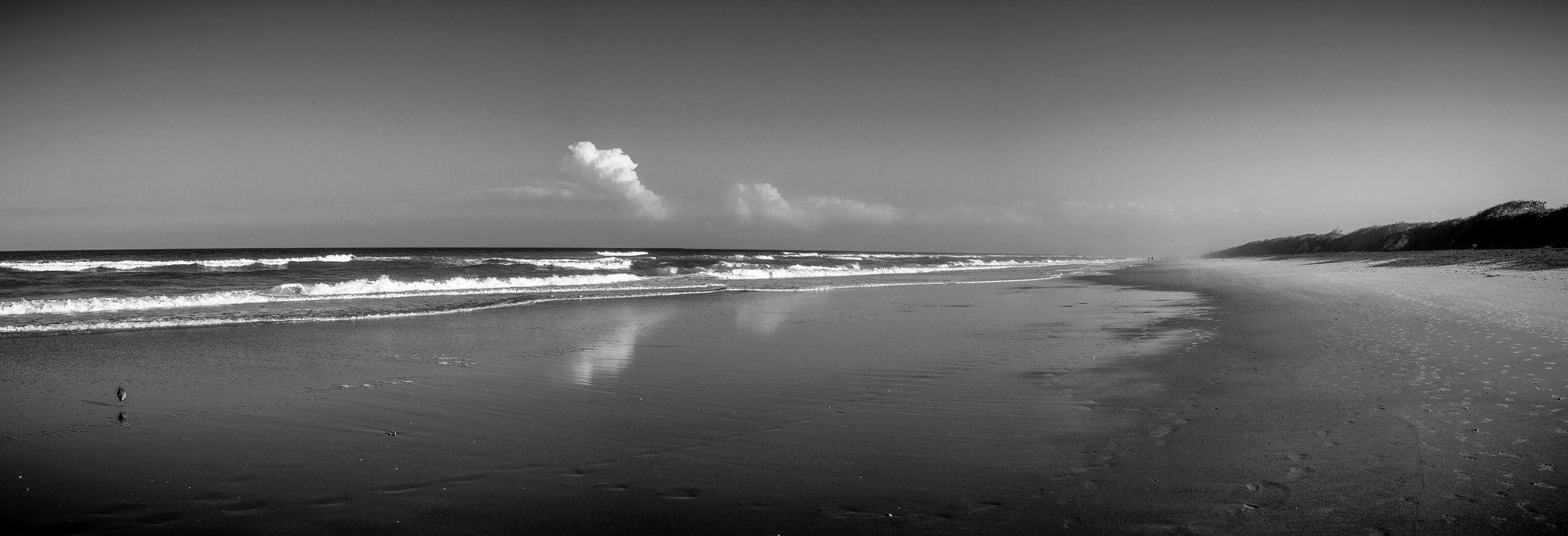 Canon EOS 450D (EOS Rebel XSi / EOS Kiss X2) sample photo. Beach in january- fl photography