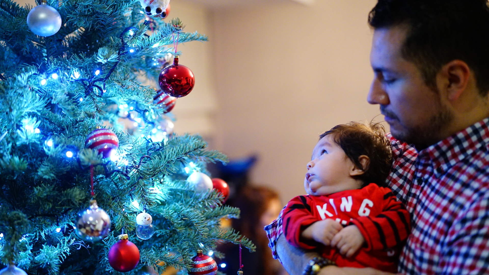 Sony a7 II + Sony Planar T* FE 50mm F1.4 ZA sample photo. First christmas  photography