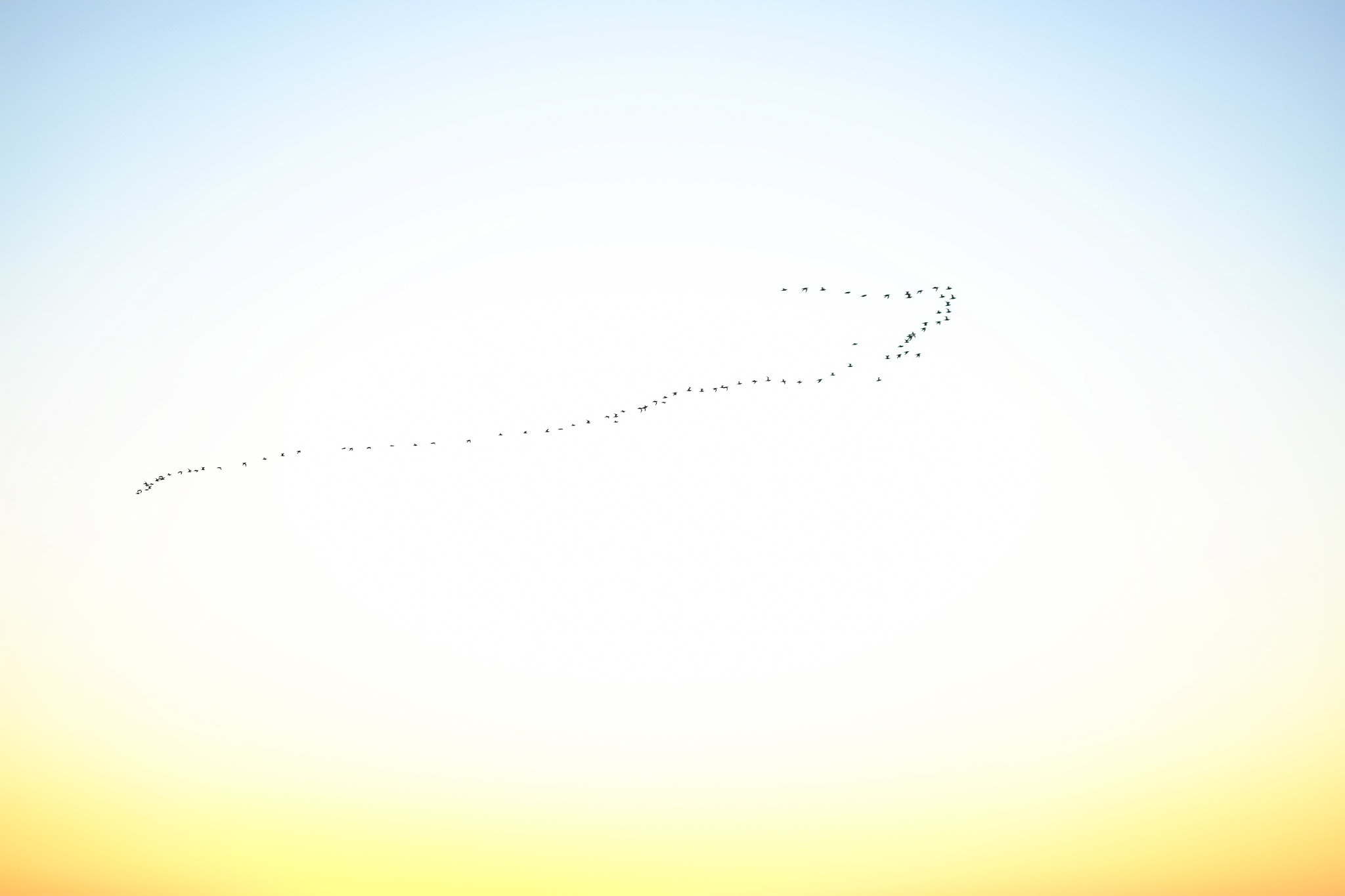 Fujifilm XF 60mm F2.4 R Macro sample photo. Atardecer en punta de lobos. photography