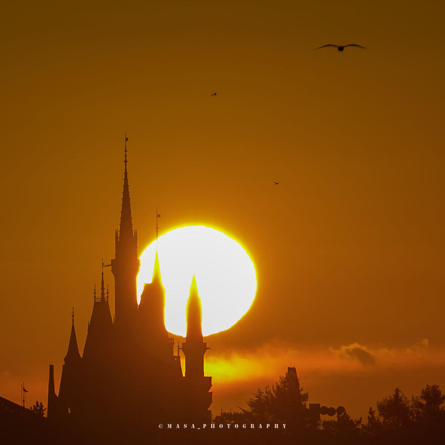 Canon EF 70-200mm F2.8L IS II USM sample photo. First sunrise of tokyo disneyland photography