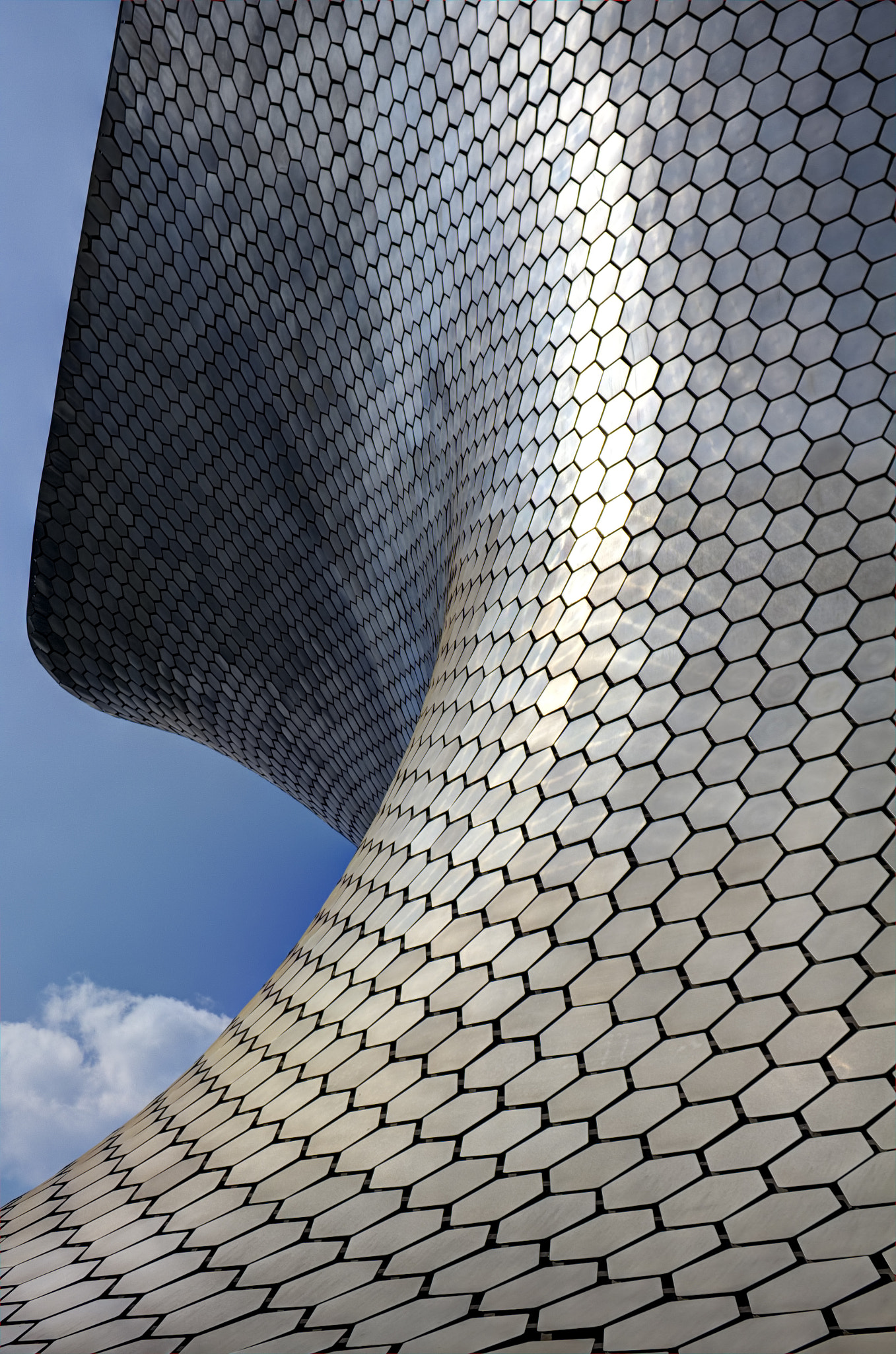 Canon EF-S 18-55mm F3.5-5.6 III sample photo. Soumaya photography