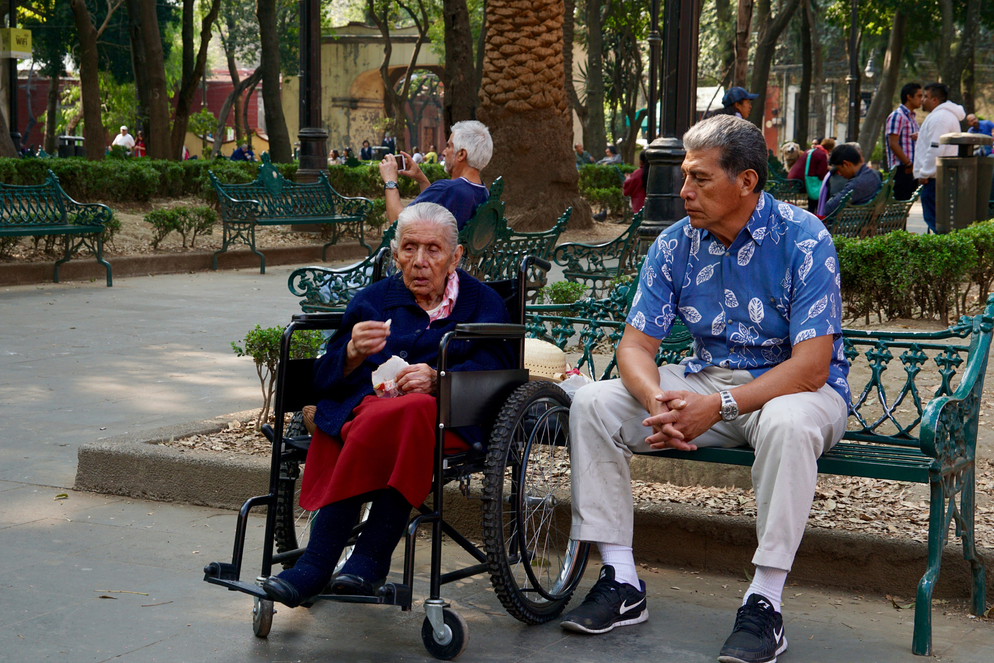 Sony E 18-55mm F3.5-5.6 OSS sample photo. Man and his mother at the park photography