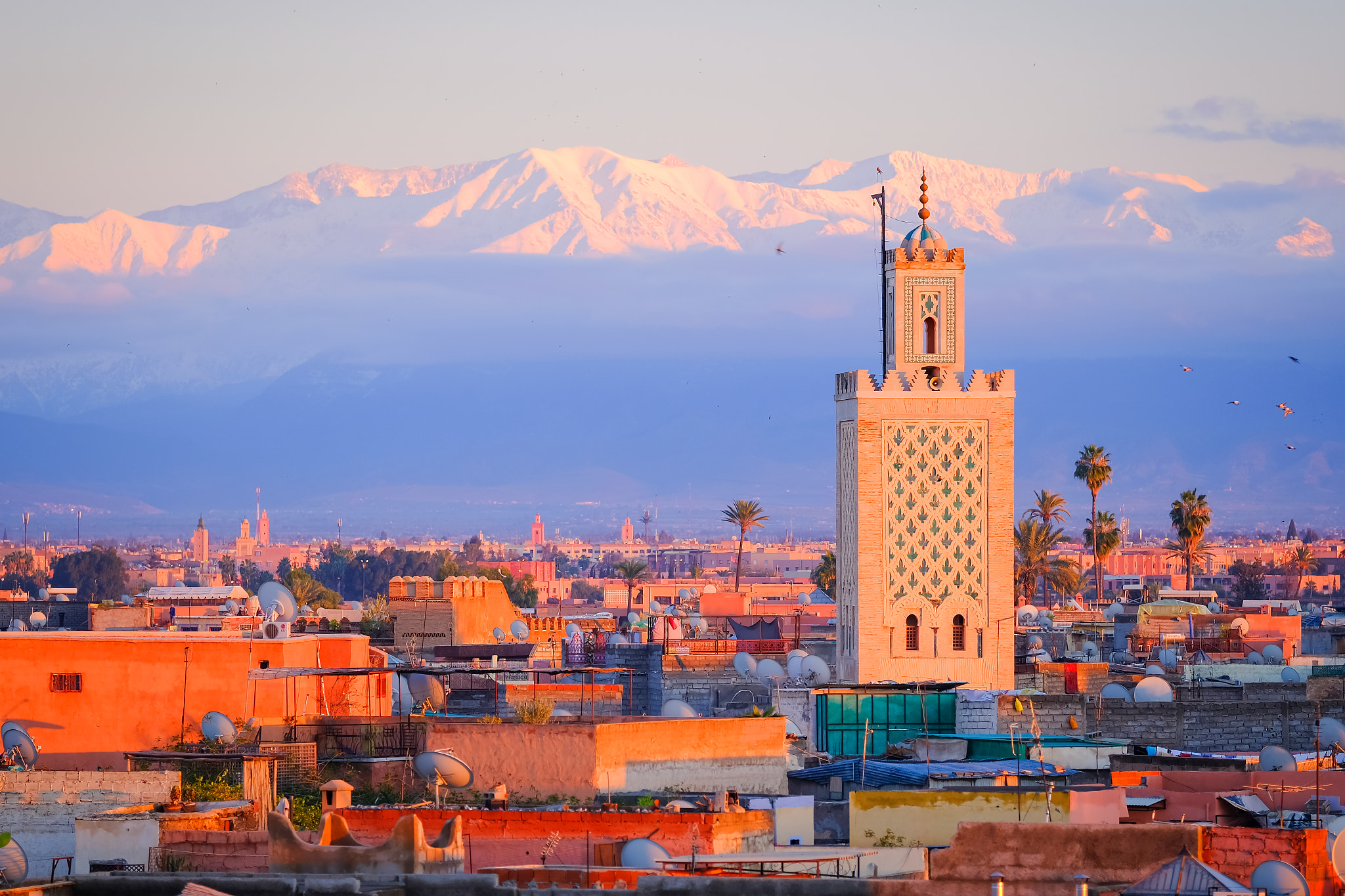 Fujifilm X-Pro2 + Fujifilm XF 50-140mm F2.8 R LM OIS WR sample photo. Marrakech photography