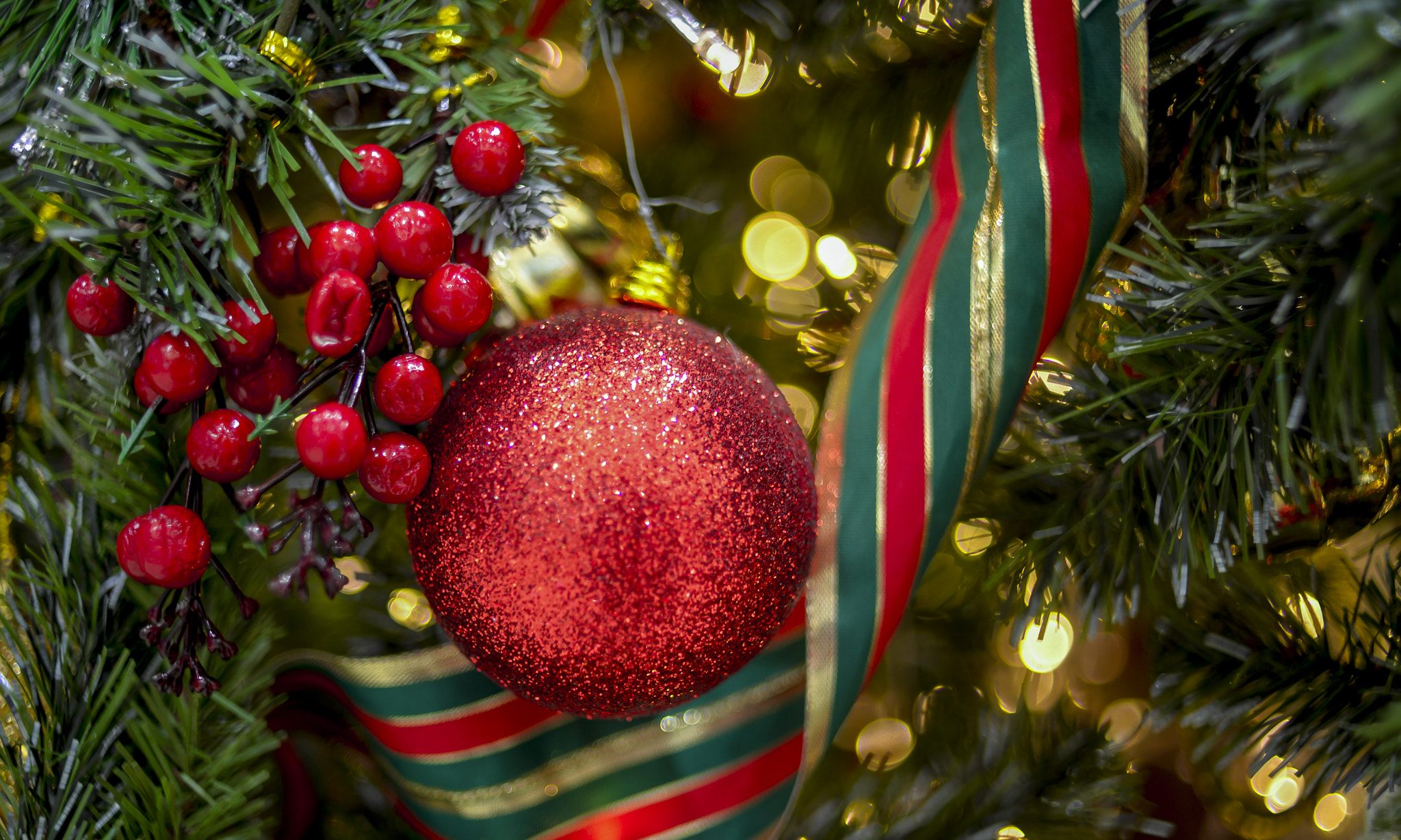 Nikon D610 + Nikon AF Nikkor 35mm F2D sample photo. Noel 2016 photography