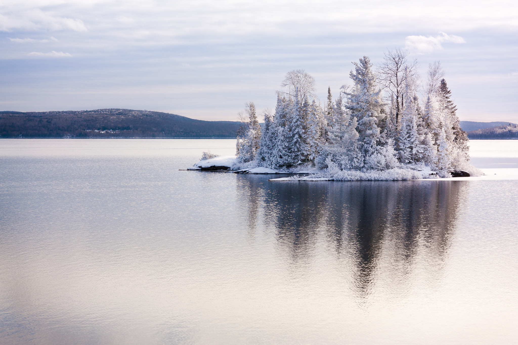 Canon EOS 450D (EOS Rebel XSi / EOS Kiss X2) + Sigma 18-50mm f/2.8 Macro sample photo. Island with frozen trees after a freezing rain, quebec, canada photography