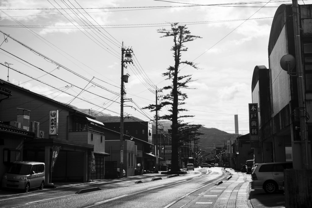 ZEISS Makro-Planar T* 50mm F2 sample photo. 目印発見 photography