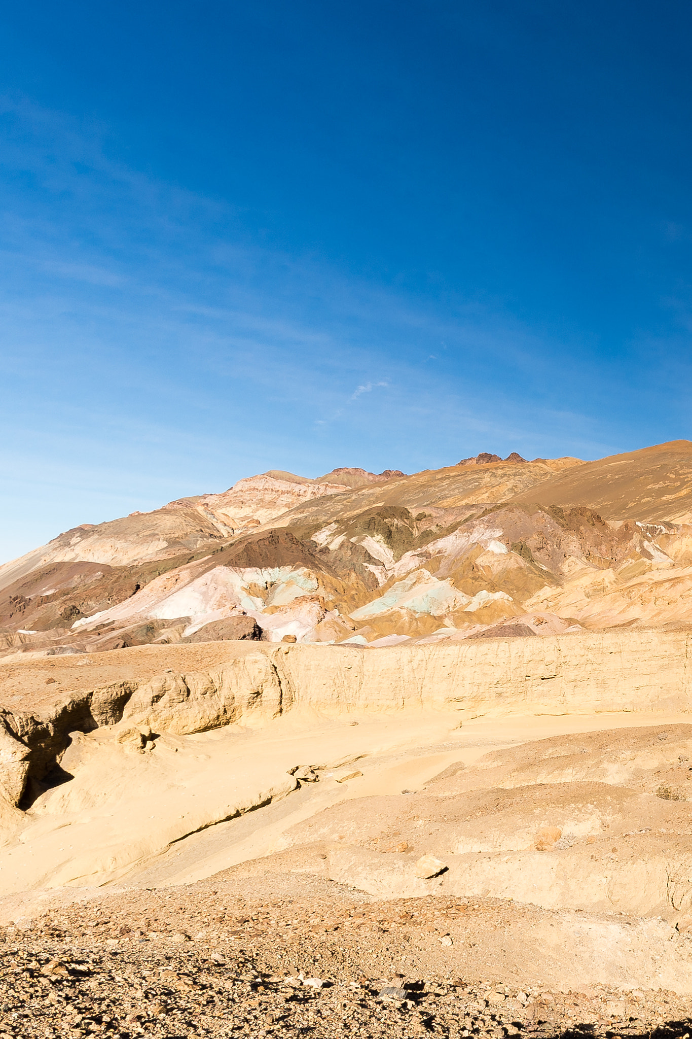 Nikon D4 + Samyang 12mm F2.8 ED AS NCS Fisheye sample photo. Artists canyon vertical photography