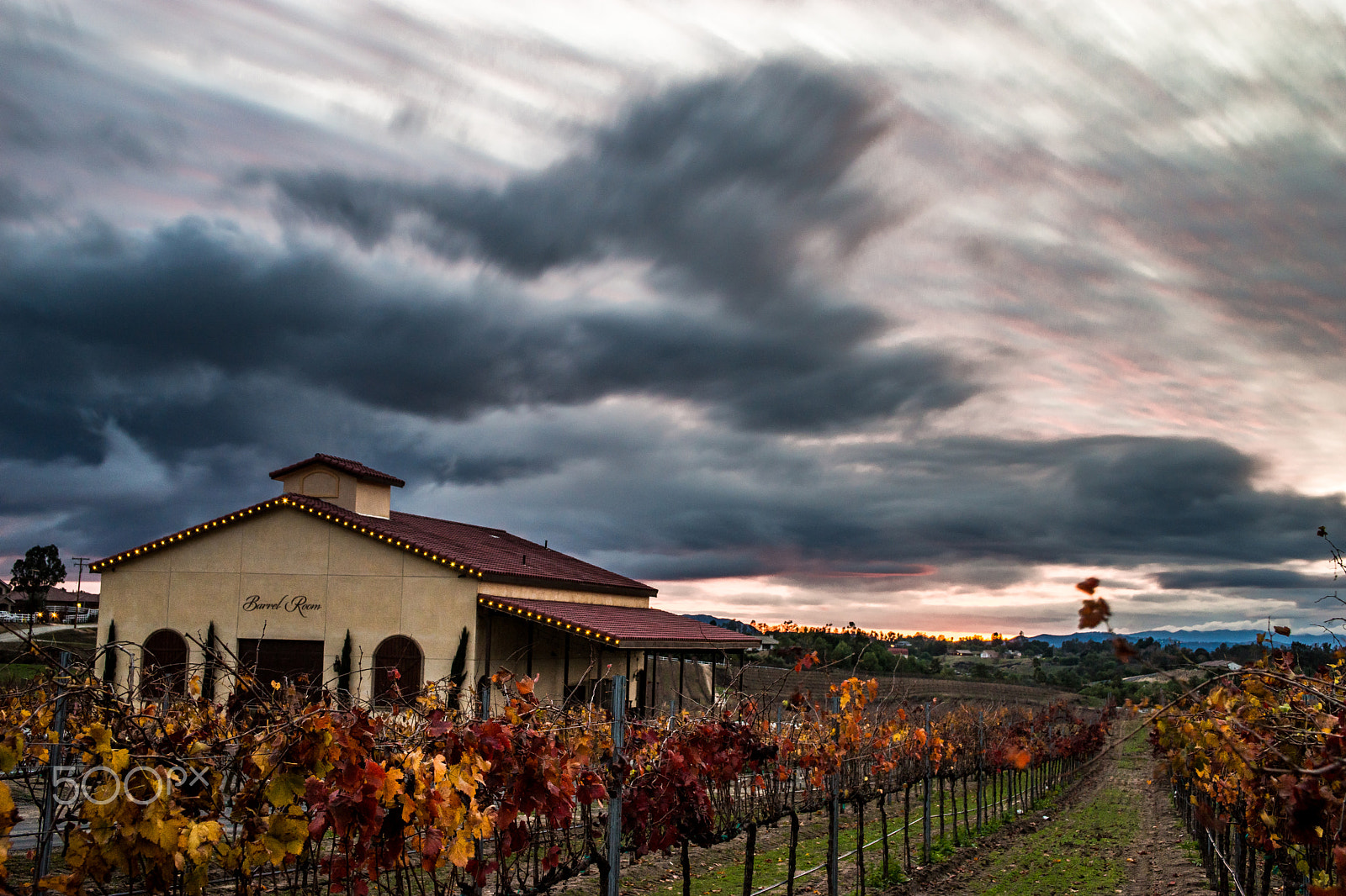 Sony a99 II sample photo. The barrel room photography