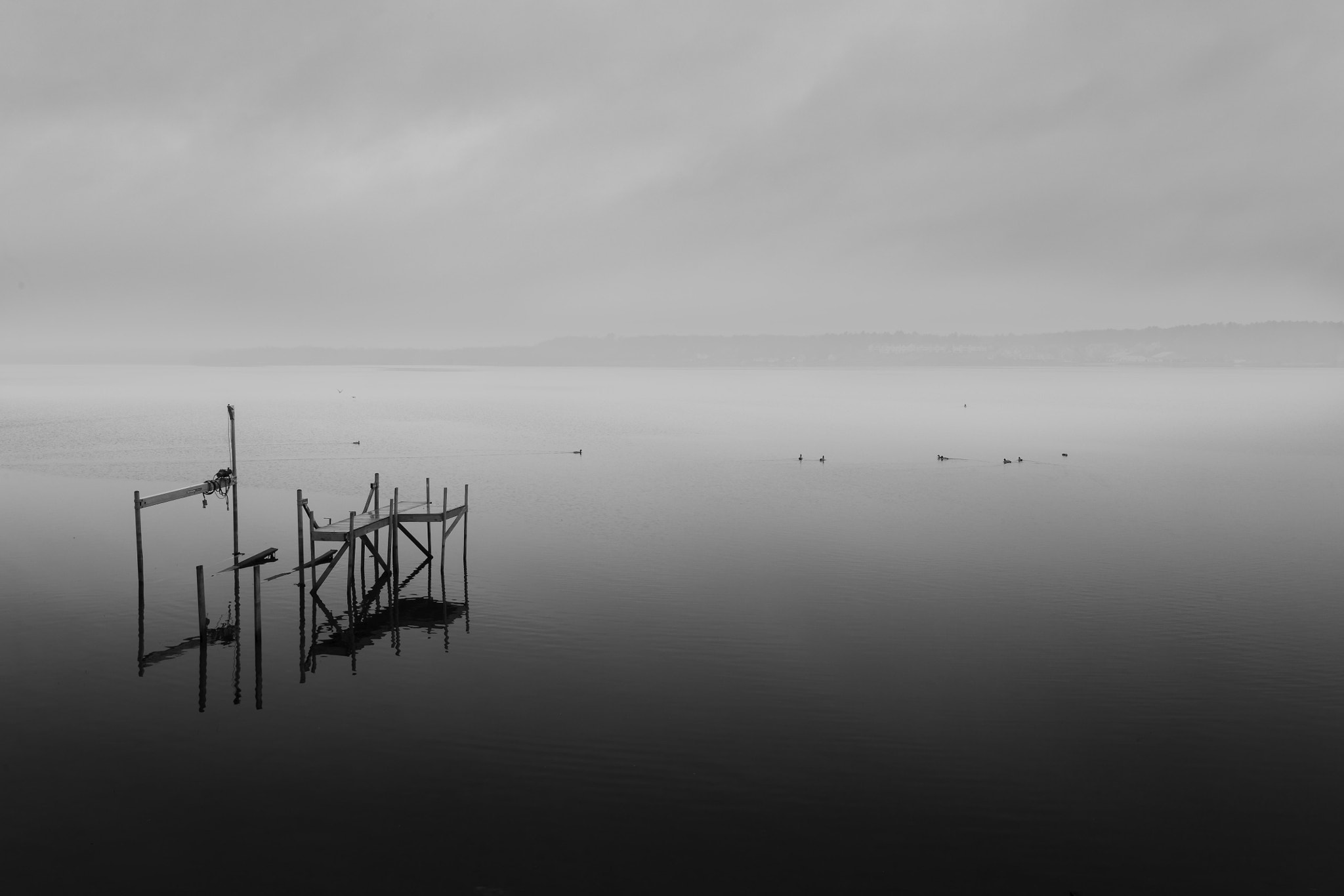 Canon EOS 5D + Sigma 24-35mm F2 DG HSM Art sample photo. Foggy day at the lake photography