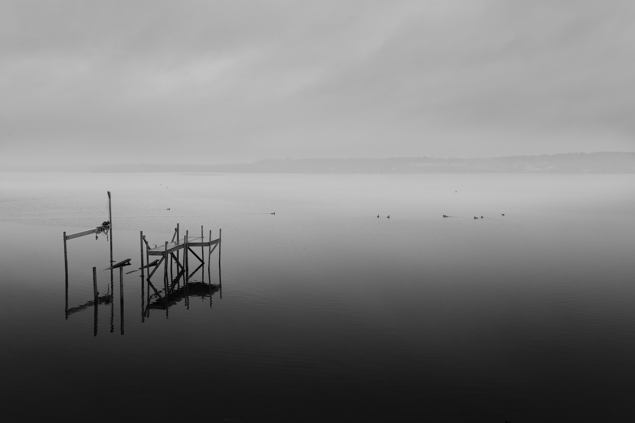 Sigma 24-35mm F2 DG HSM Art sample photo. Foggy day at the lake photography