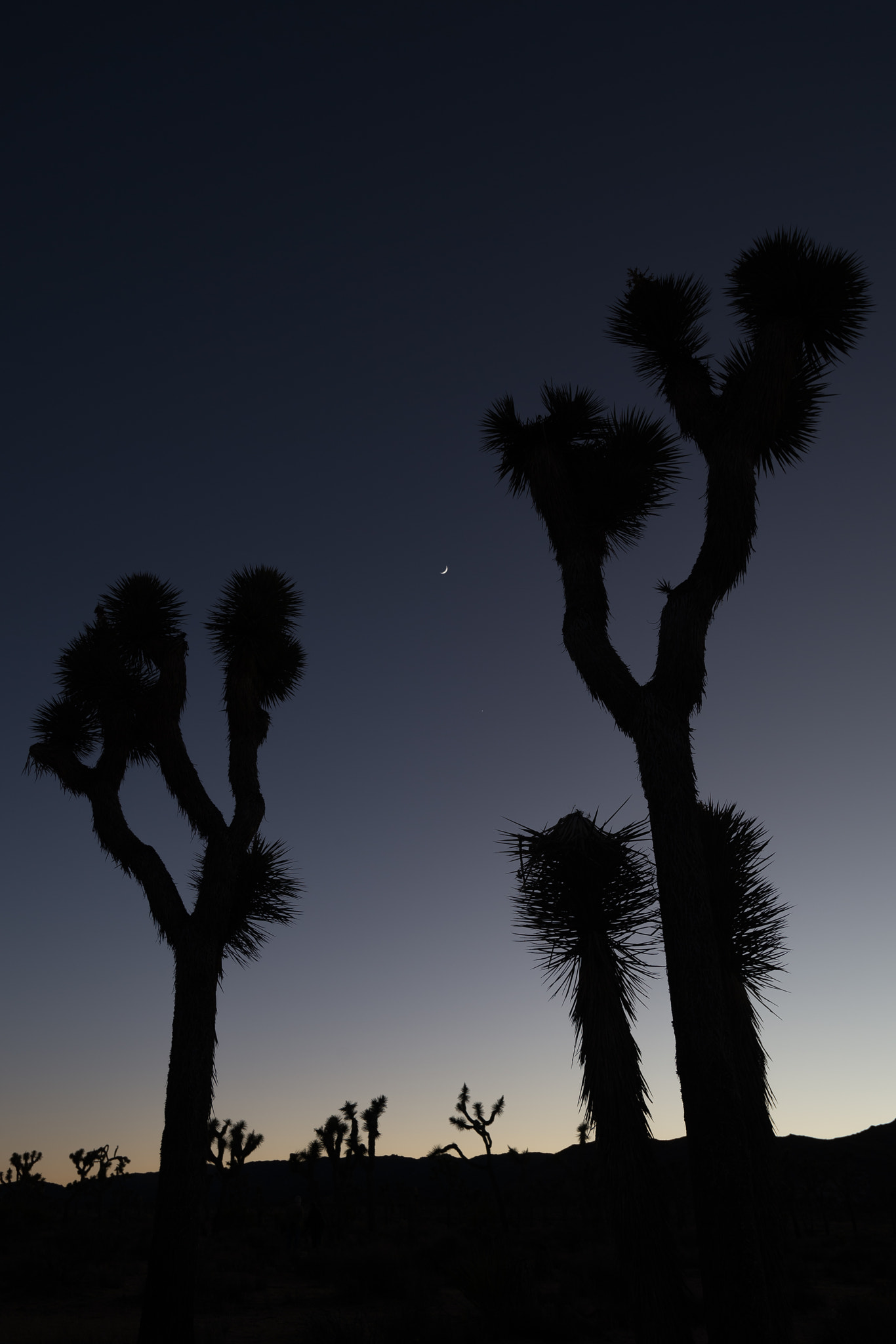 Nikon AF-S Nikkor 17-35mm F2.8D ED-IF sample photo. Moon shining high above photography