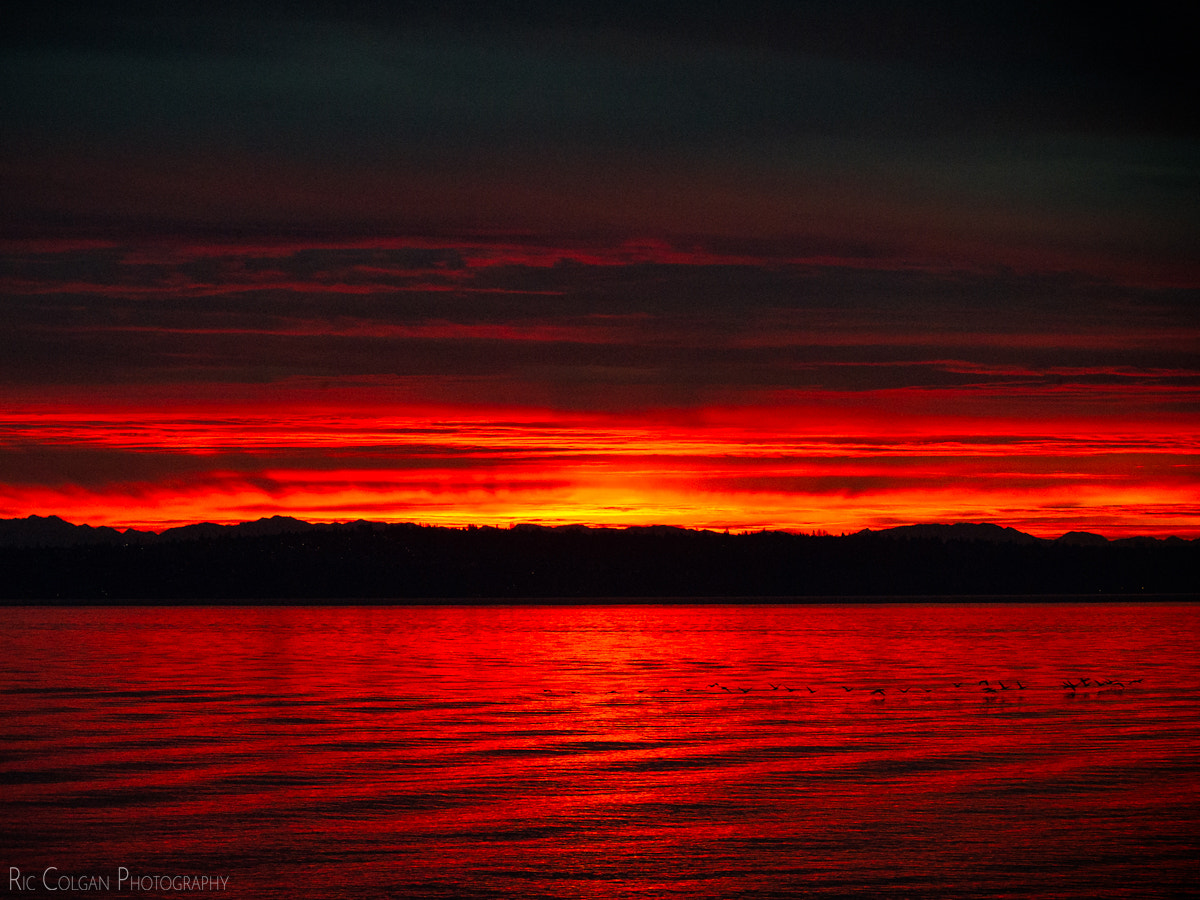 Nikon D3S sample photo. Sailors take warning photography