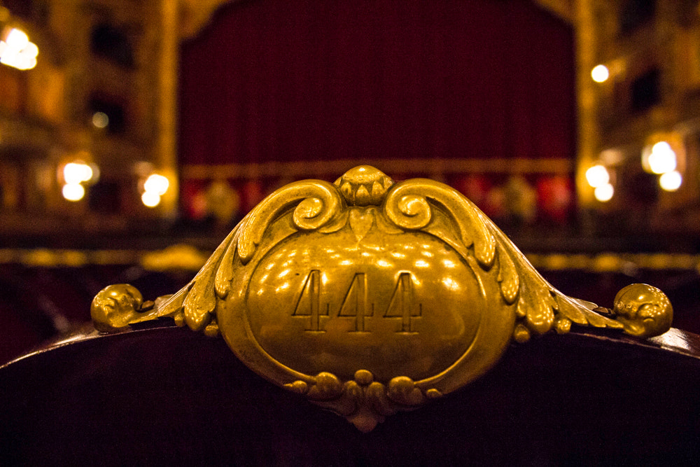 Canon EOS 550D (EOS Rebel T2i / EOS Kiss X4) sample photo. Buenos aires_teatro colon photography