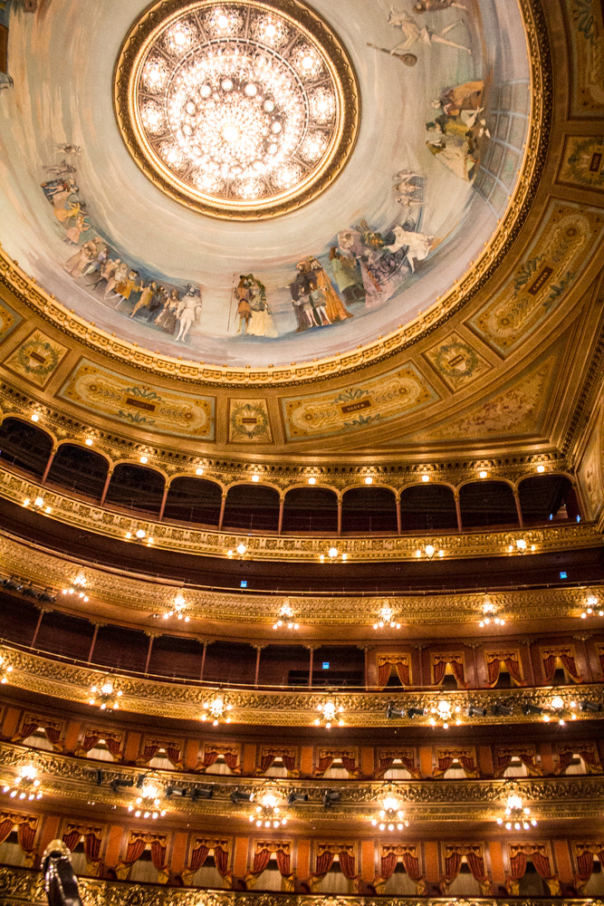 Canon EOS 550D (EOS Rebel T2i / EOS Kiss X4) sample photo. Buenos aires_teatro colon photography