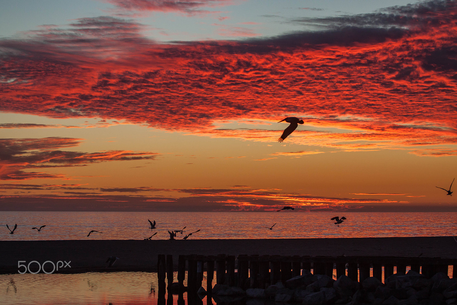 Canon EOS 50D + Canon EF 70-200mm F4L USM sample photo. Another sunset photography