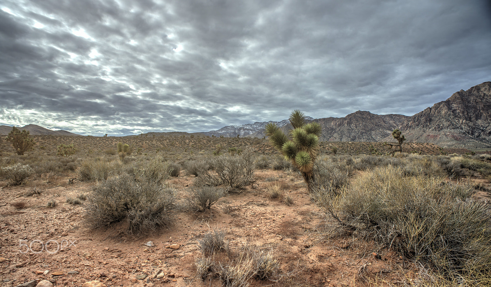 Nikon D800 + Nikon AF Nikkor 20mm F2.8D sample photo. Black velvet canyon photography