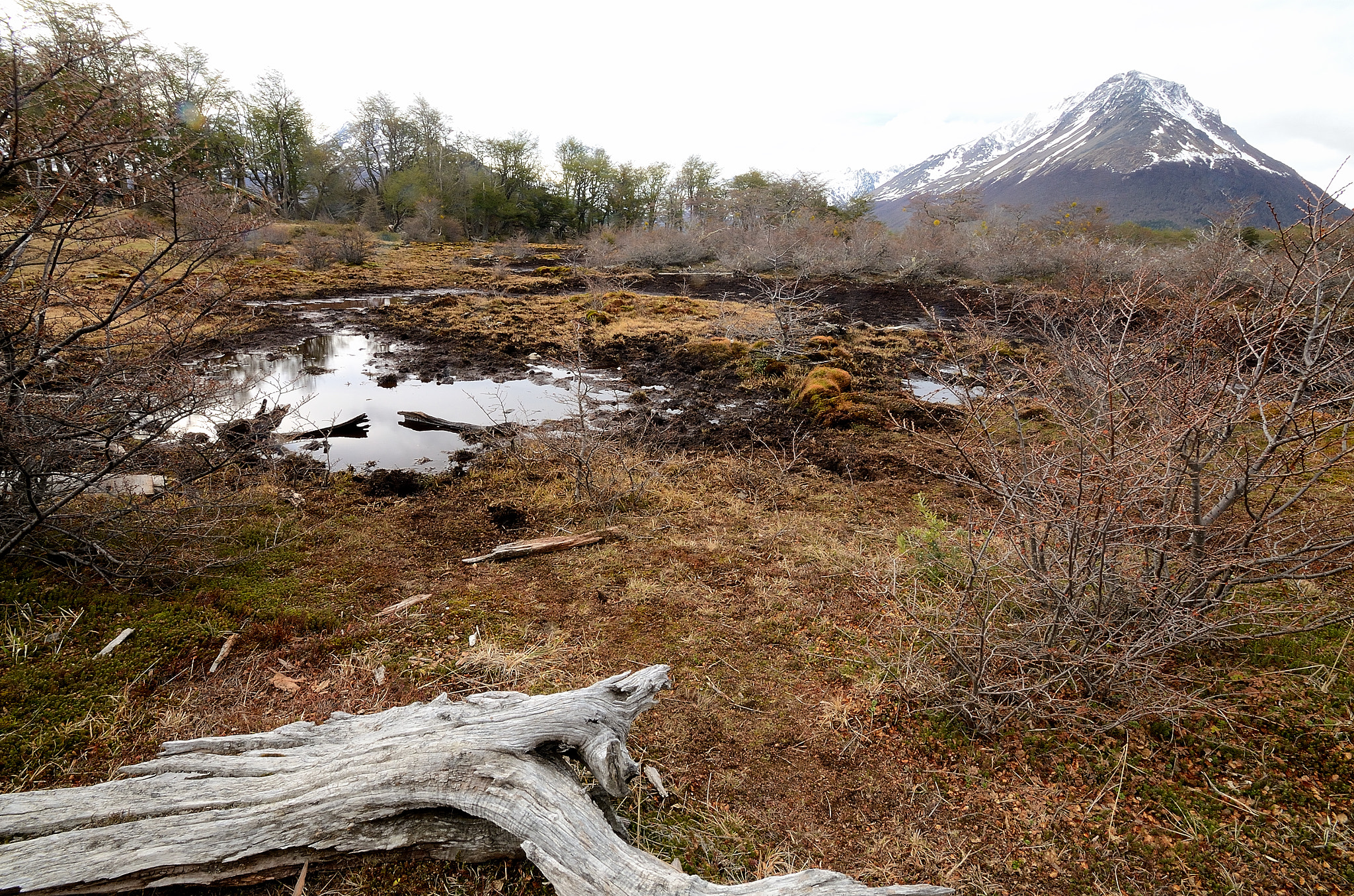 Nikon D7000 sample photo. Ushuaia's national park photography