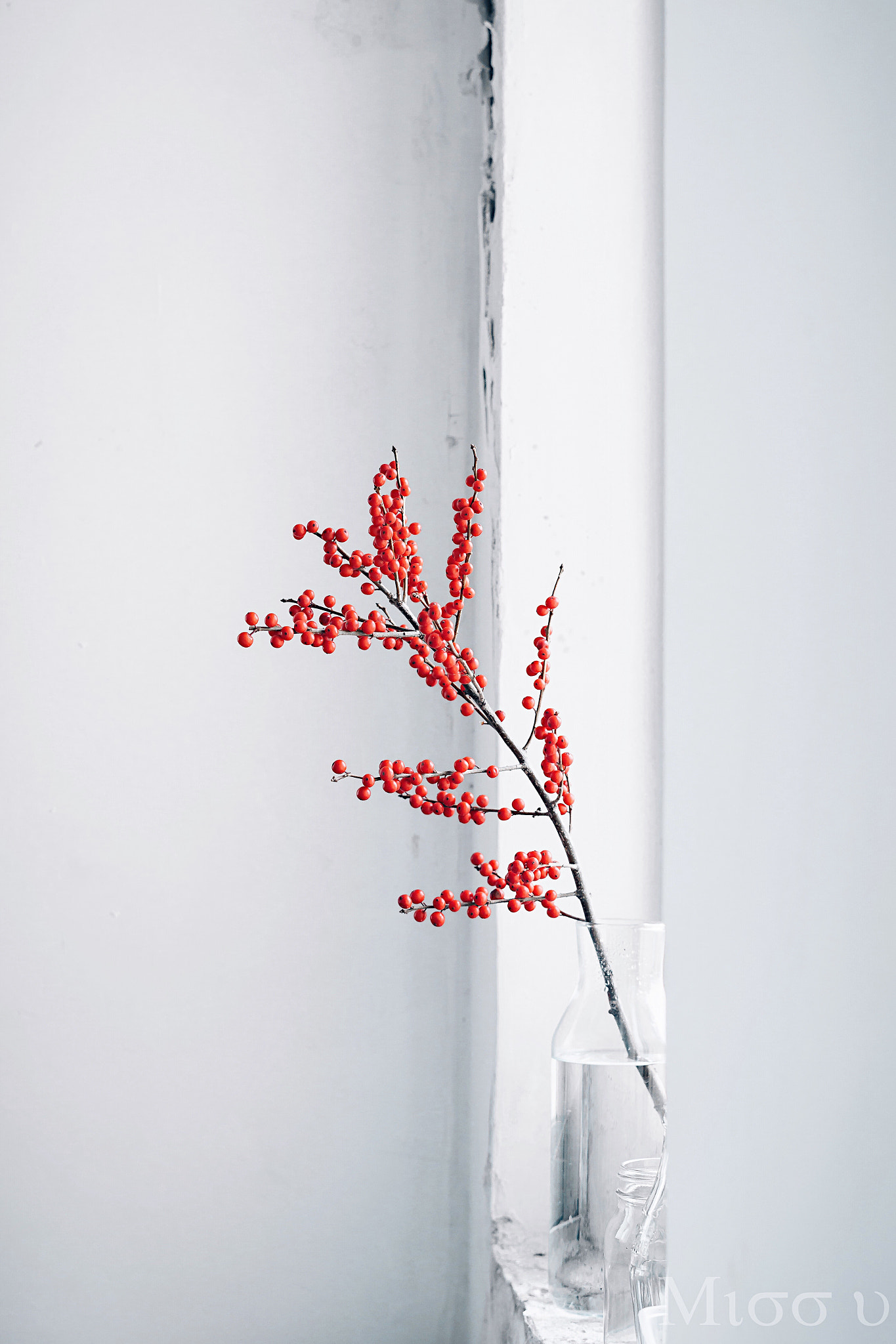 Sony FE 50mm F1.8 sample photo