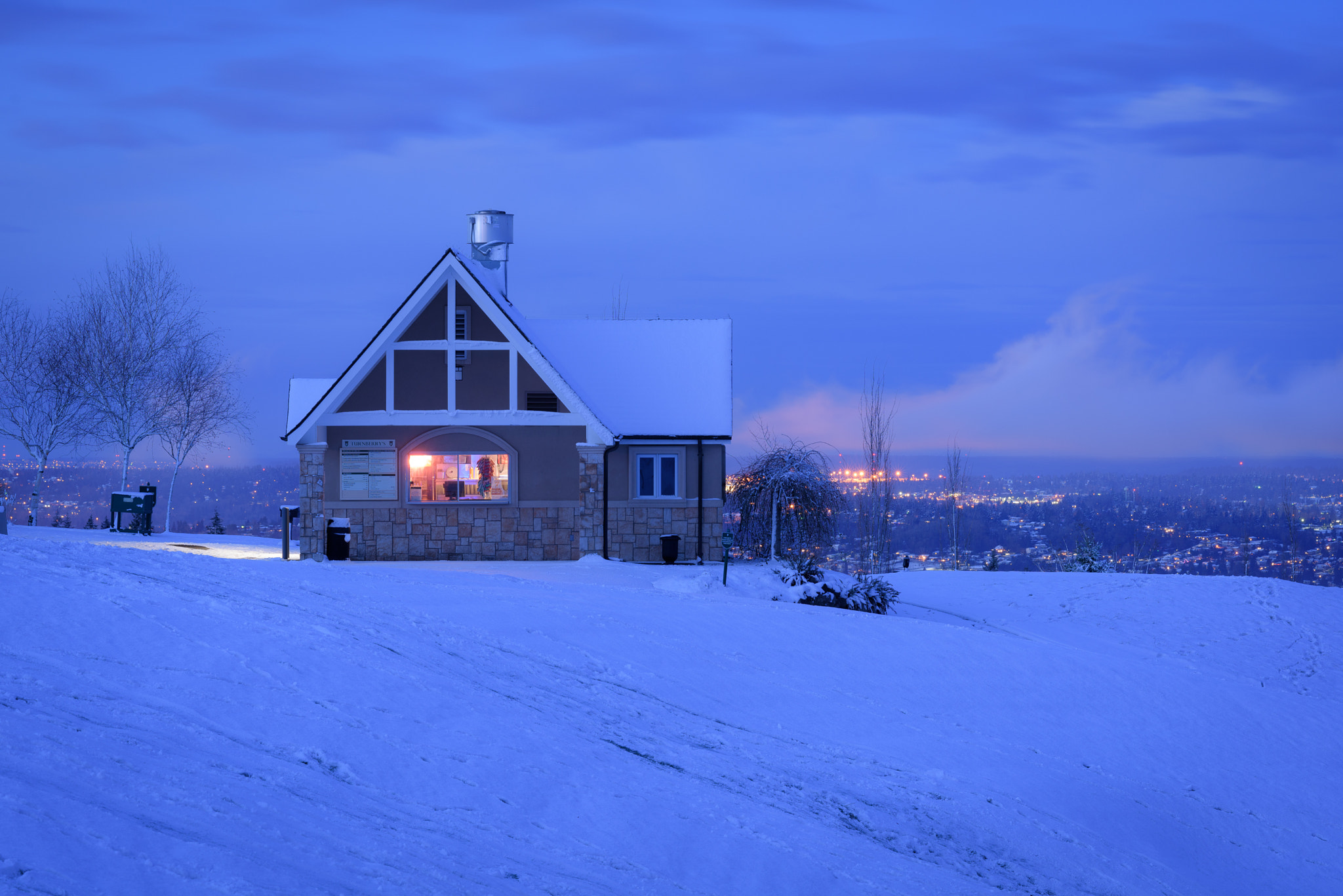 Nikon D810 + ZEISS Apo Sonnar T* 135mm F2 sample photo. Cold seattle morning photography