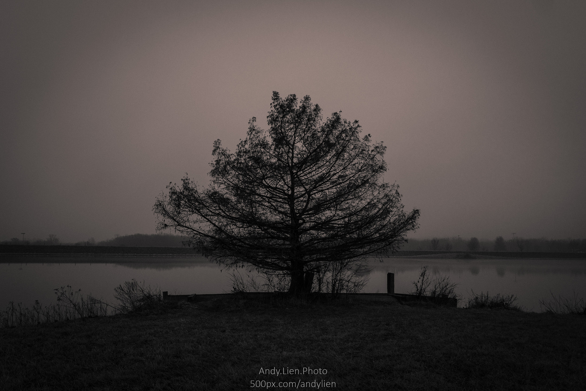 Sony a6500 + Sigma 19mm F2.8 EX DN sample photo. Solitude in the mist photography