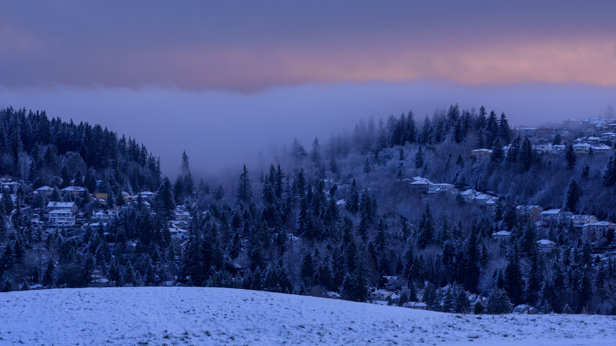 ZEISS Apo Sonnar T* 135mm F2 sample photo. Cold seattle morning photography