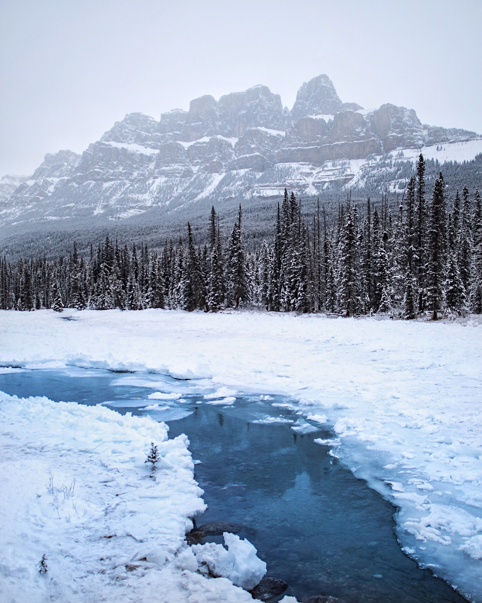 Nikon D4 + Nikon AF-S Nikkor 20mm F1.8G ED sample photo. Bow river. castle mountain. banff. alberta. photography