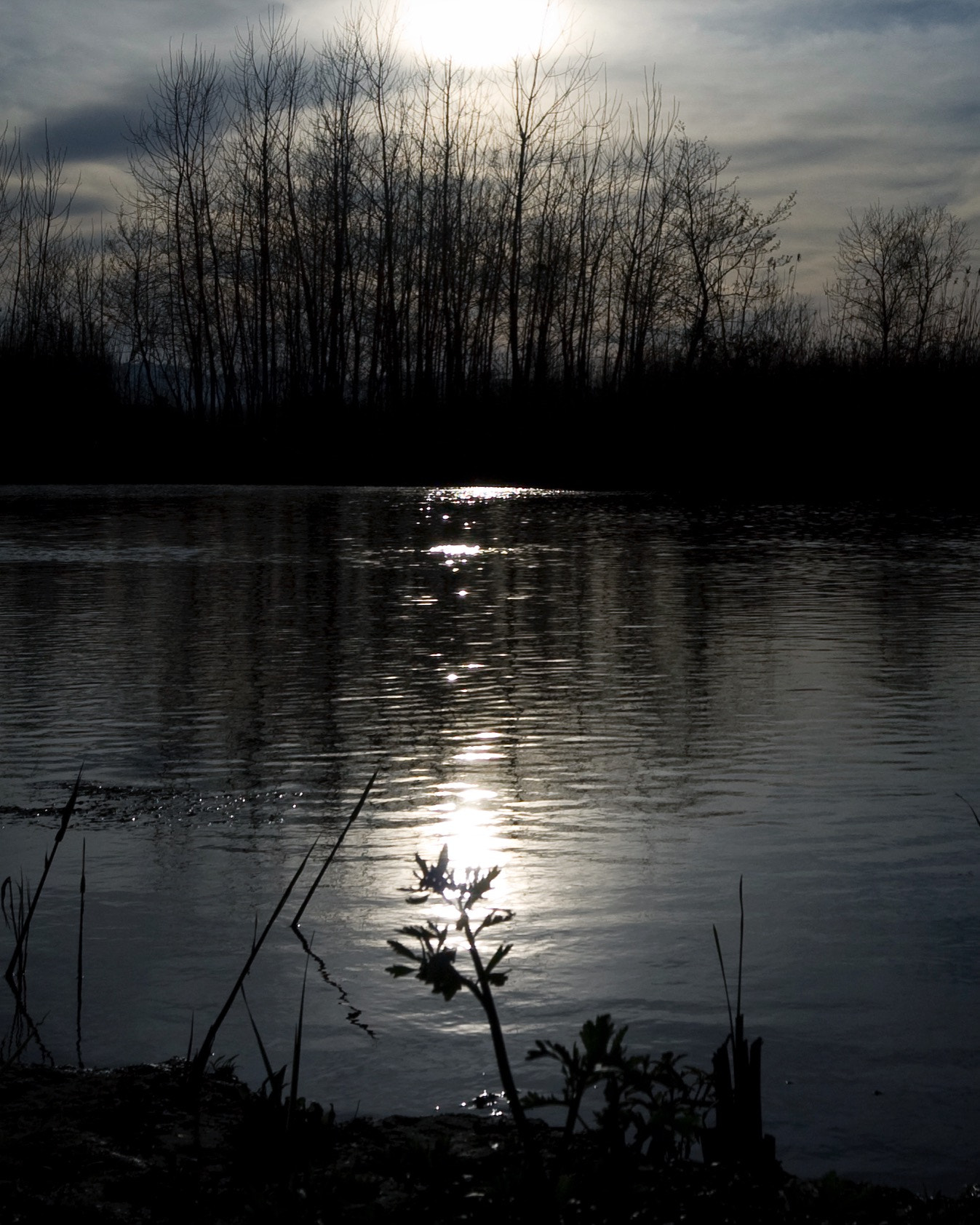 Canon EOS 30D sample photo. Dream of the river photography