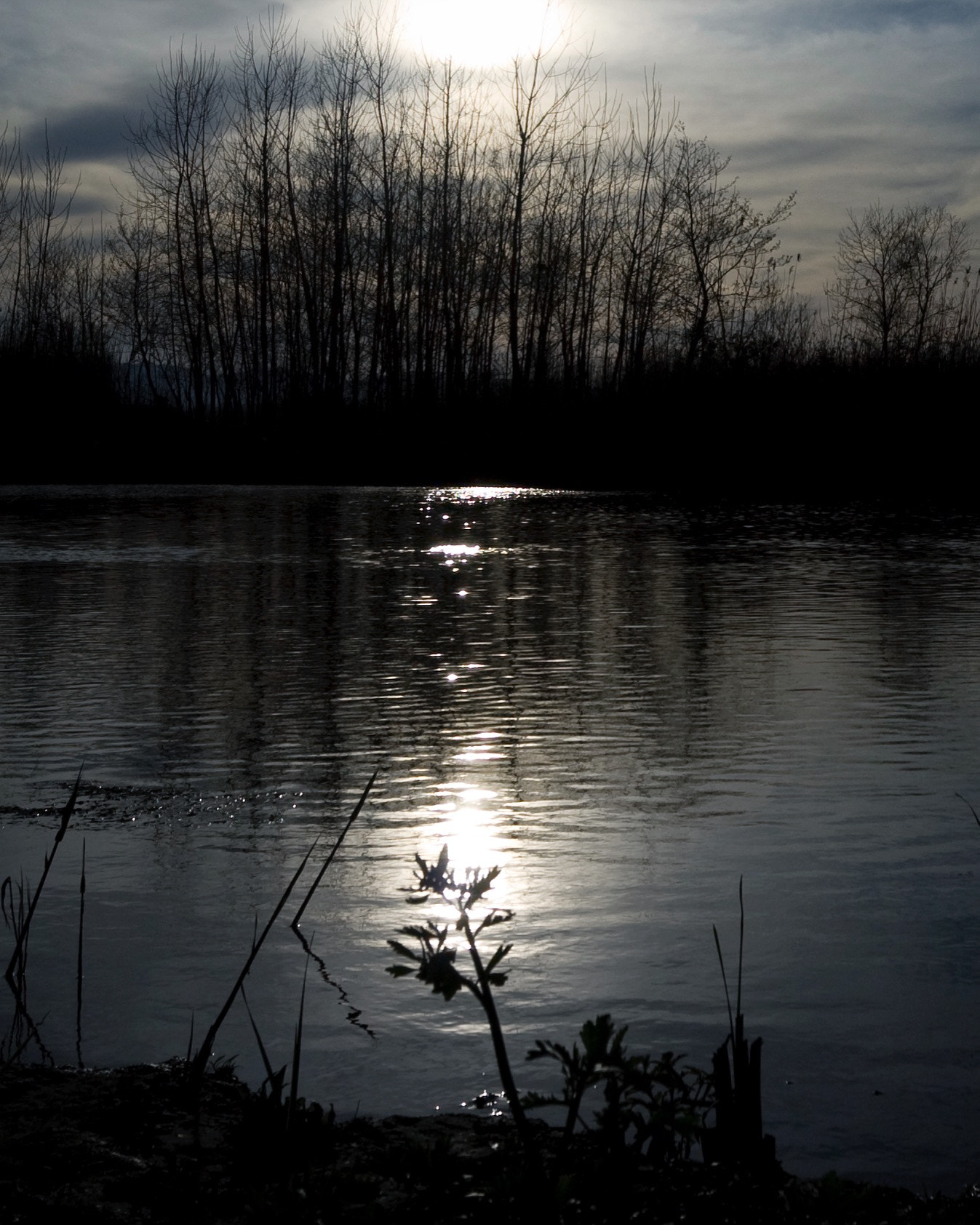 Canon EOS 30D + Canon EF 17-40mm F4L USM sample photo. Dream of the river photography