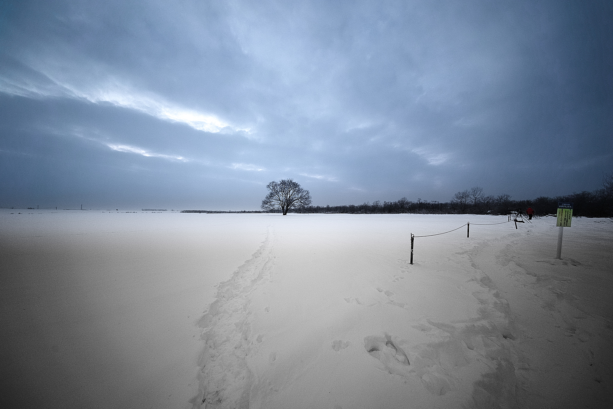 E 10mm F5.6 sample photo. Another path photography