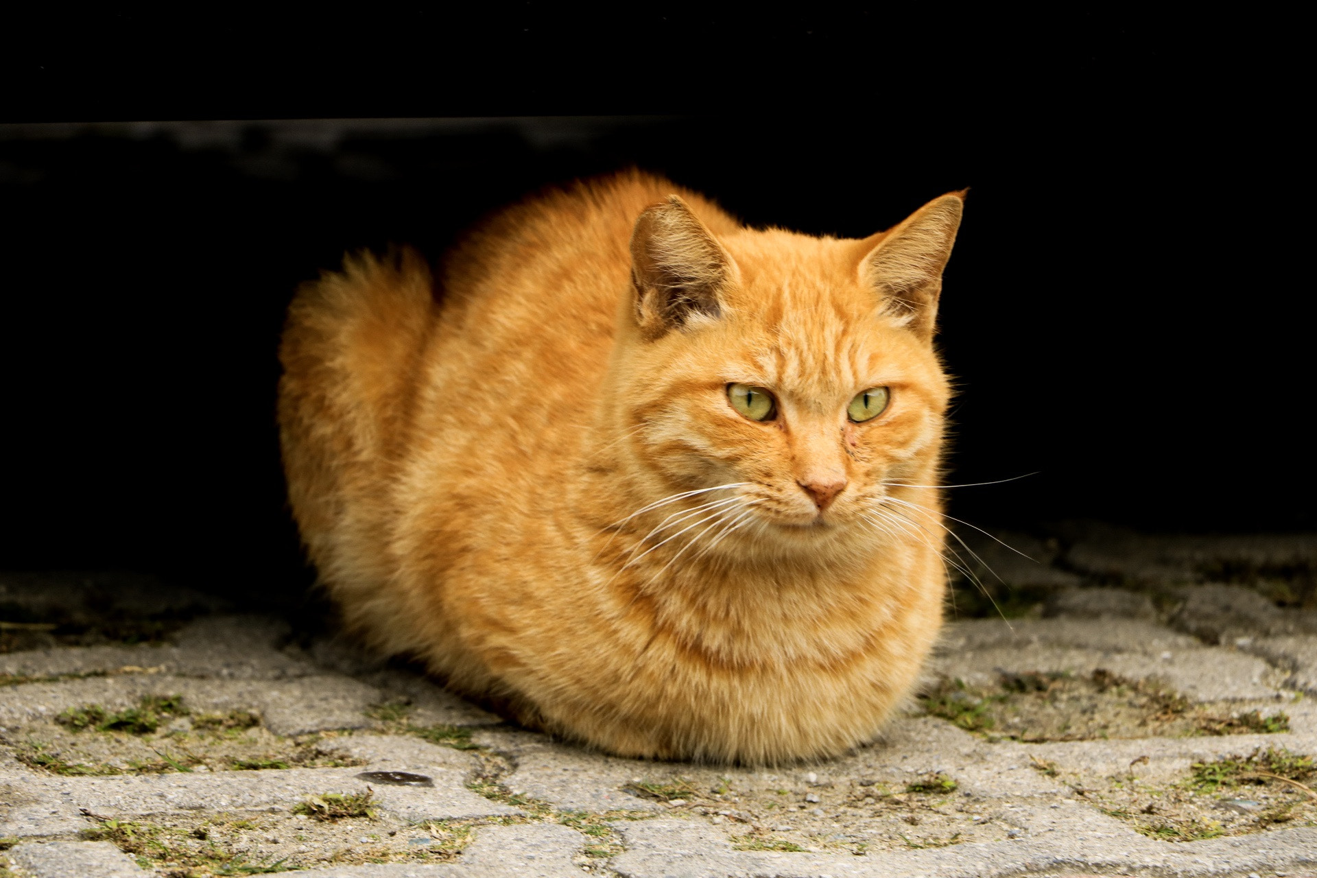 Canon EOS 760D (EOS Rebel T6s / EOS 8000D) sample photo