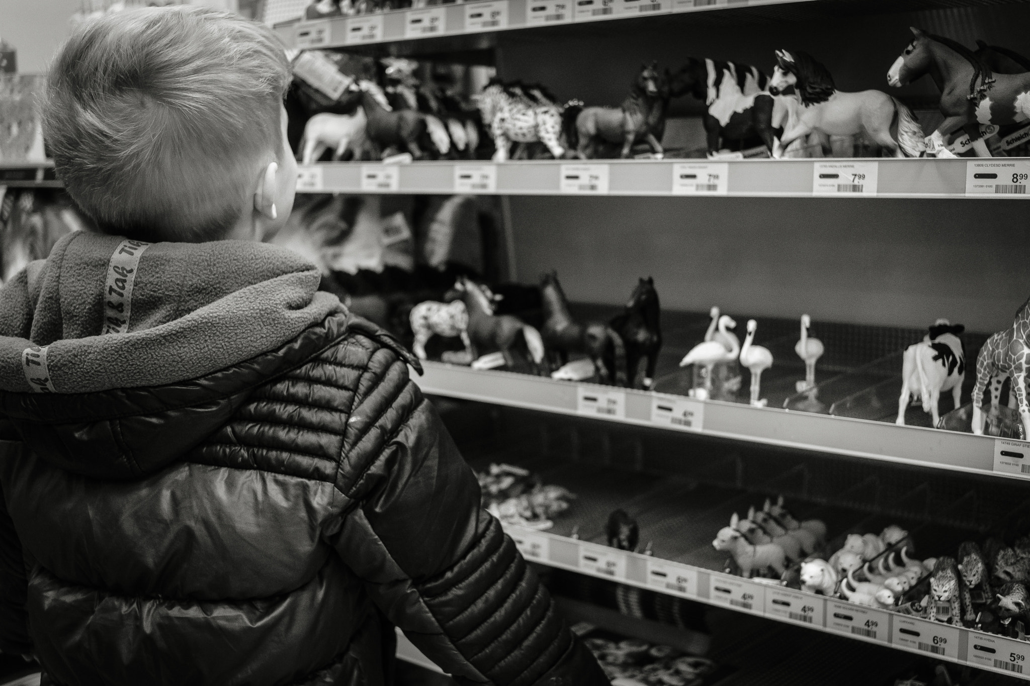 Fujifilm XF 27mm F2.8 sample photo. Mijn wens. photography