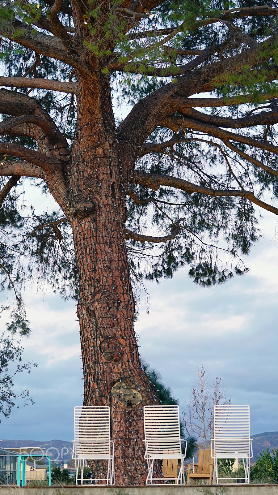 Sony a7S II + Sony FE 90mm F2.8 Macro G OSS sample photo. Story time photography