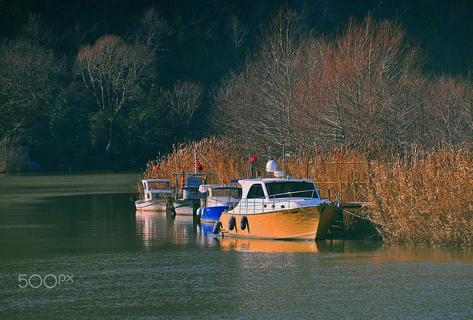 Nikon D5000 sample photo. ** photography