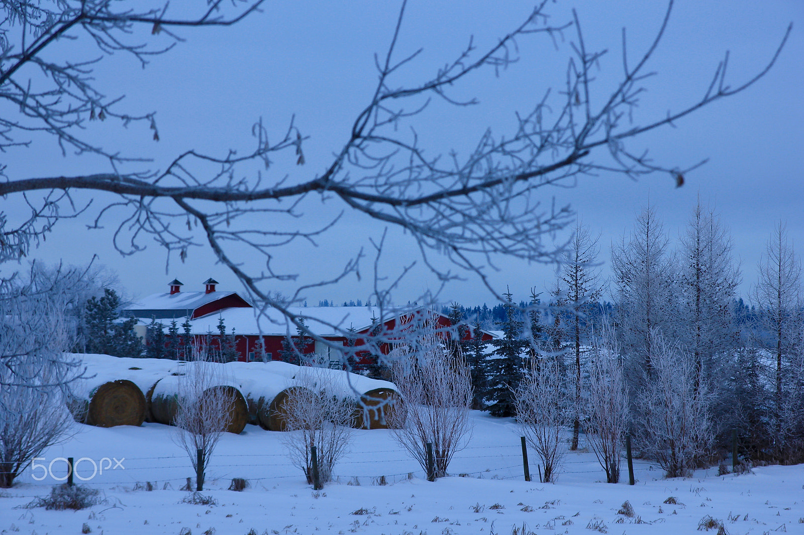 Canon EOS 550D (EOS Rebel T2i / EOS Kiss X4) sample photo. Winter barn photography