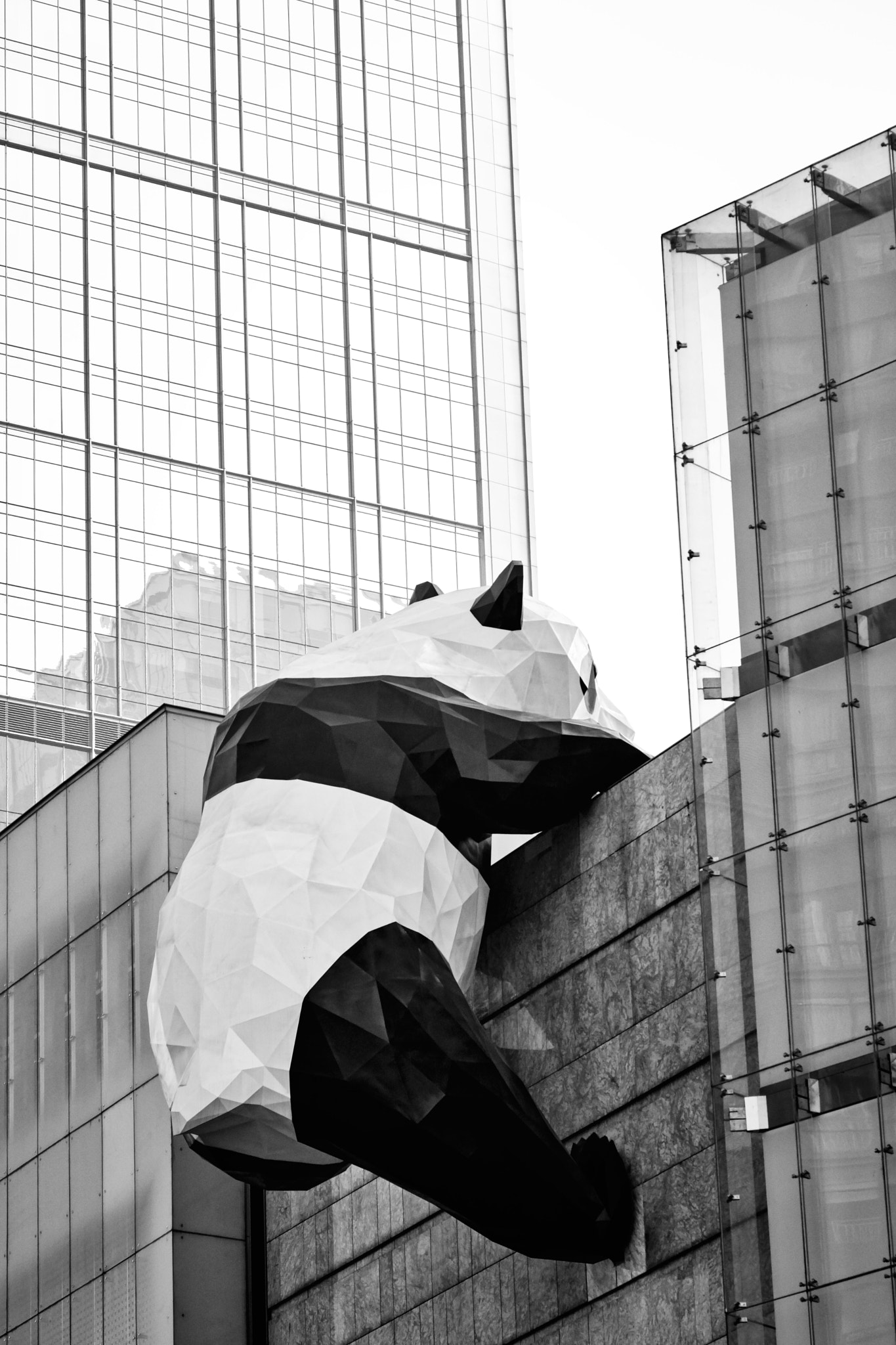0mm F0 SAM sample photo. Panda escape photography