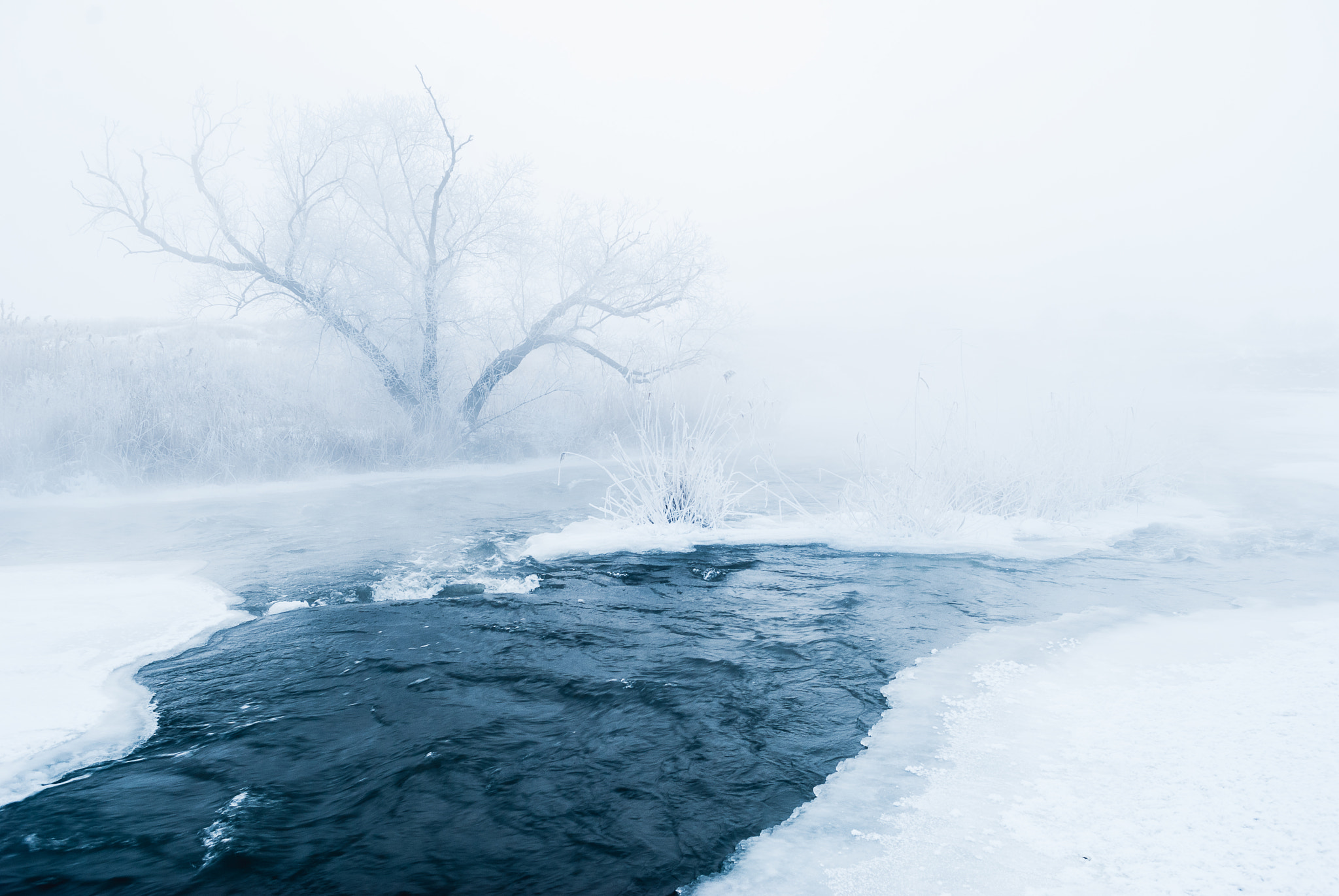 Nikon D200 sample photo. Winter morning near river photography