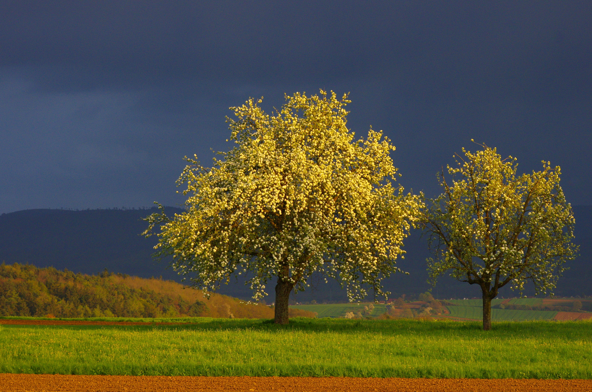smc PENTAX-DA L 55-300mm F4-5.8 ED sample photo. Dreamworld - expecting the spring photography