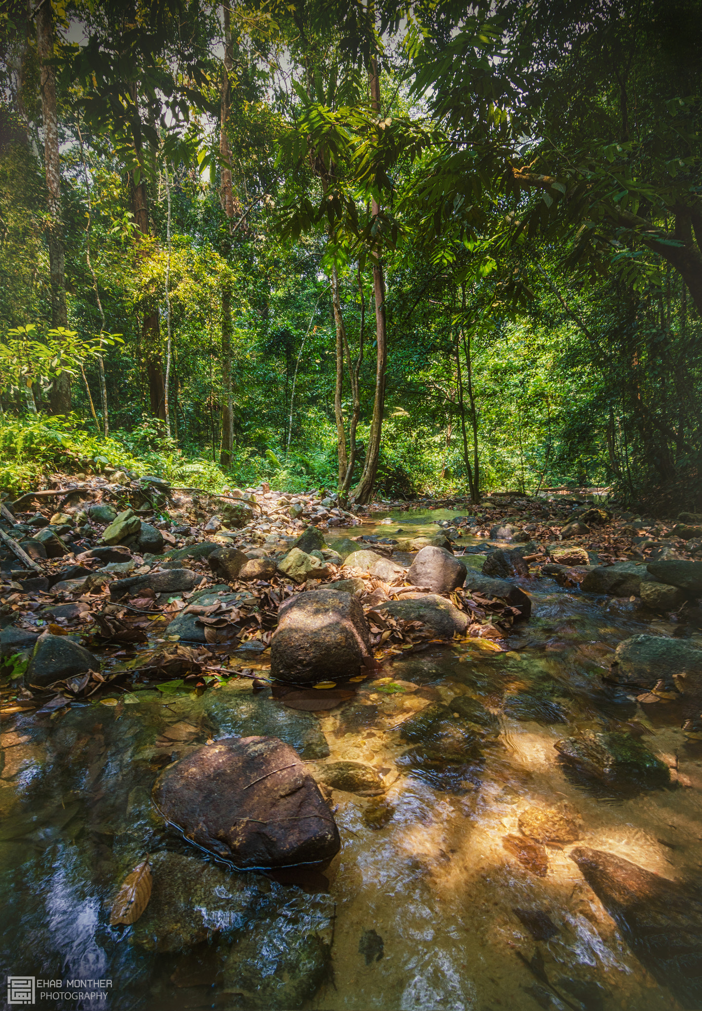 Tokina AT-X Pro 11-16mm F2.8 DX sample photo. The templer park photography