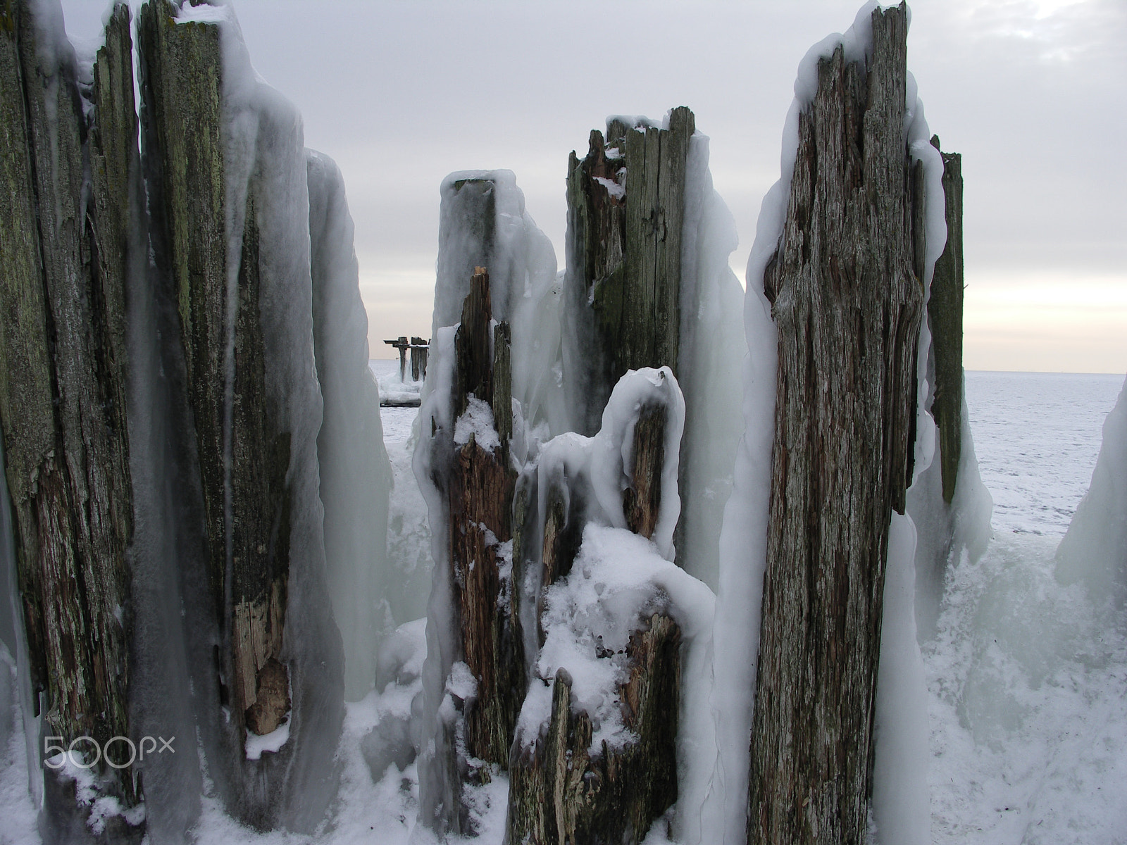 KONICA MINOLTA DiMAGE A200 sample photo. Frozen baltic sea photography