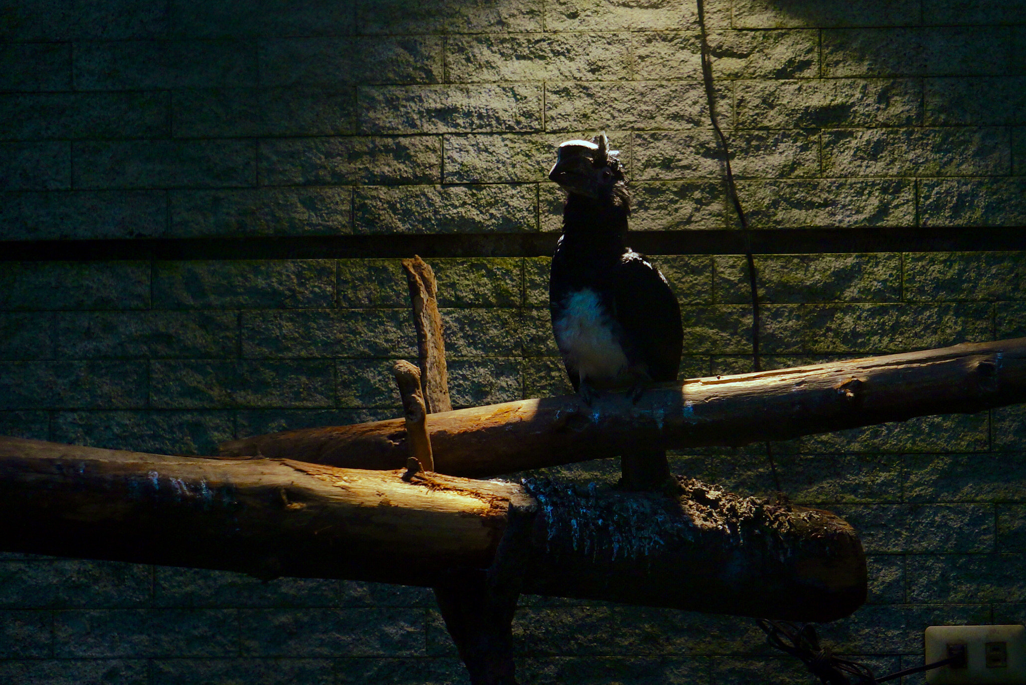 Sony FE 24-240mm F3.5-6.3 OSS sample photo. Night watch photography