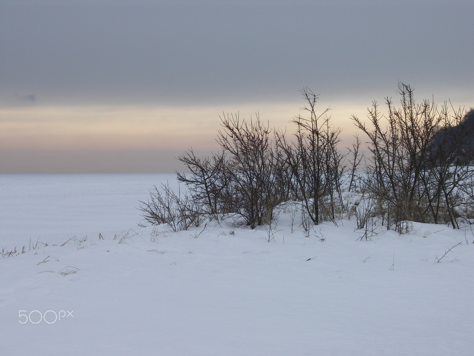 KONICA MINOLTA DiMAGE A200 sample photo. Frozen baltic sea photography