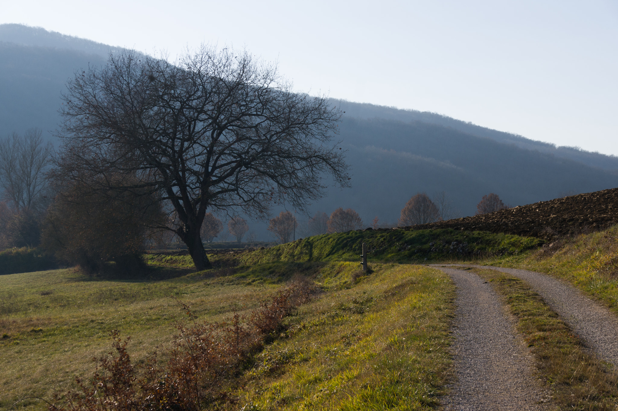 Sigma 18-250mm F3.5-6.3 DC Macro OS HSM sample photo. Comminges path photography