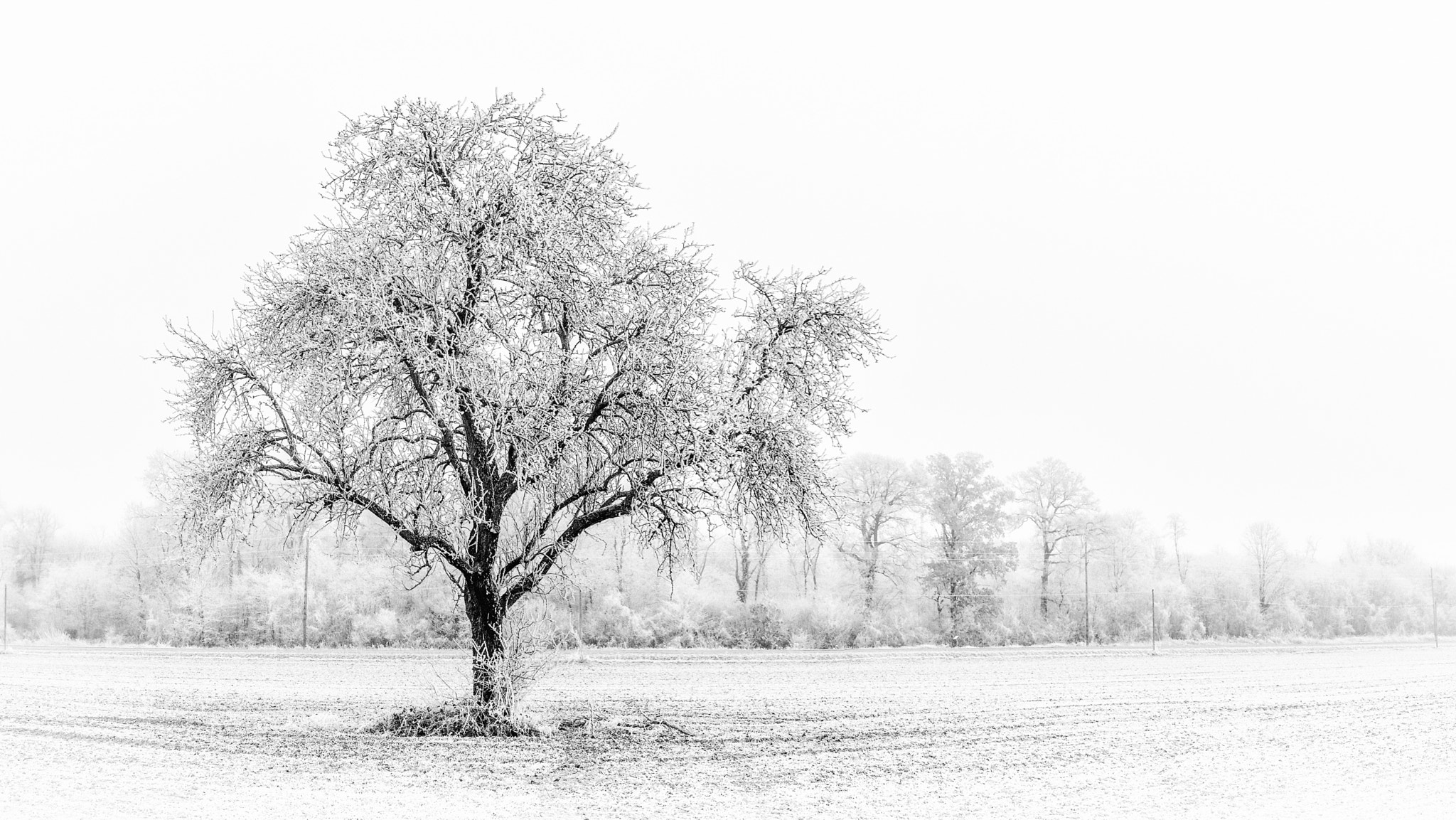 Tokina AT-X Pro 11-16mm F2.8 DX sample photo. Frozen photography