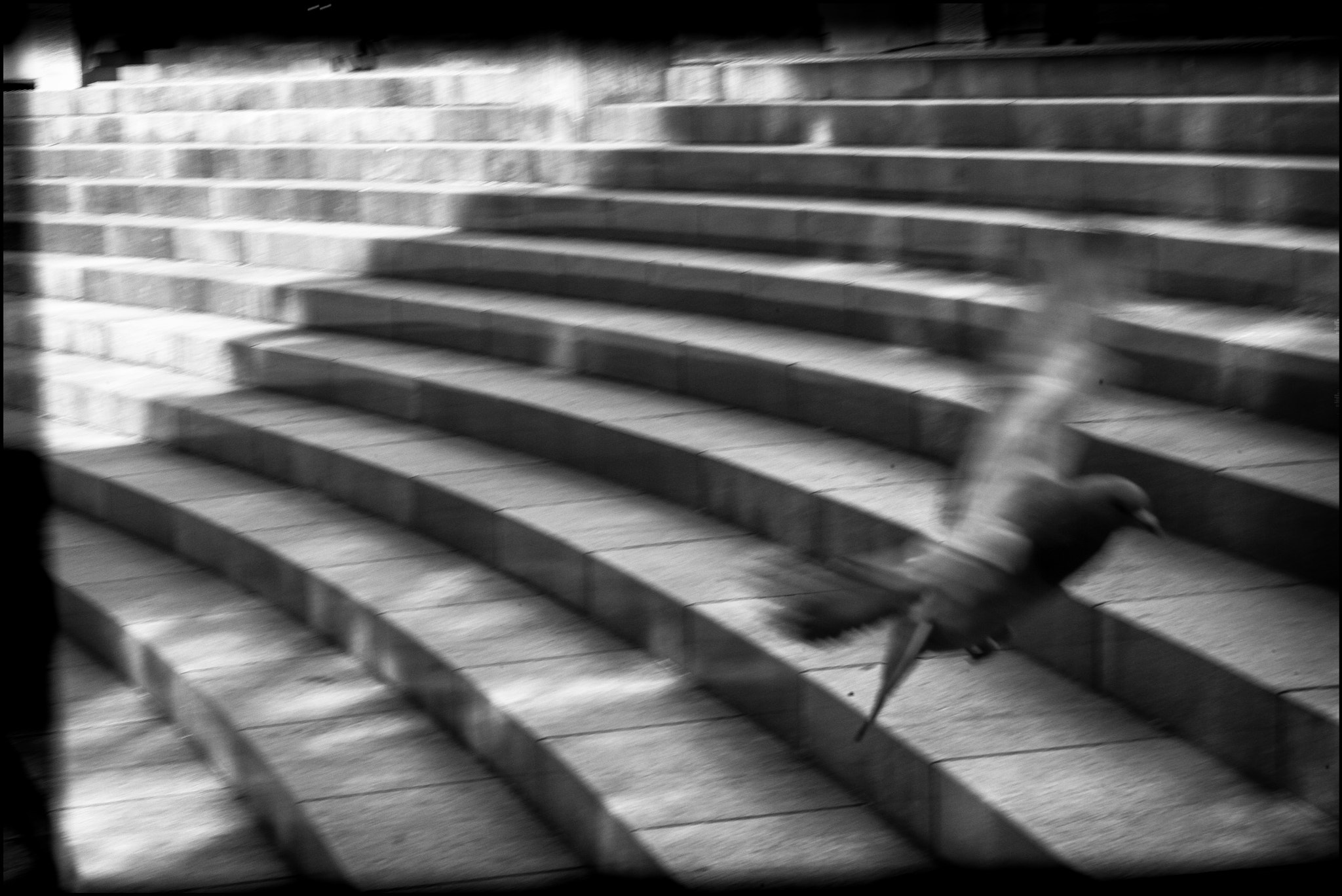 Leica Noctilux-M 50mm F0.95 ASPH sample photo. Let you go photography