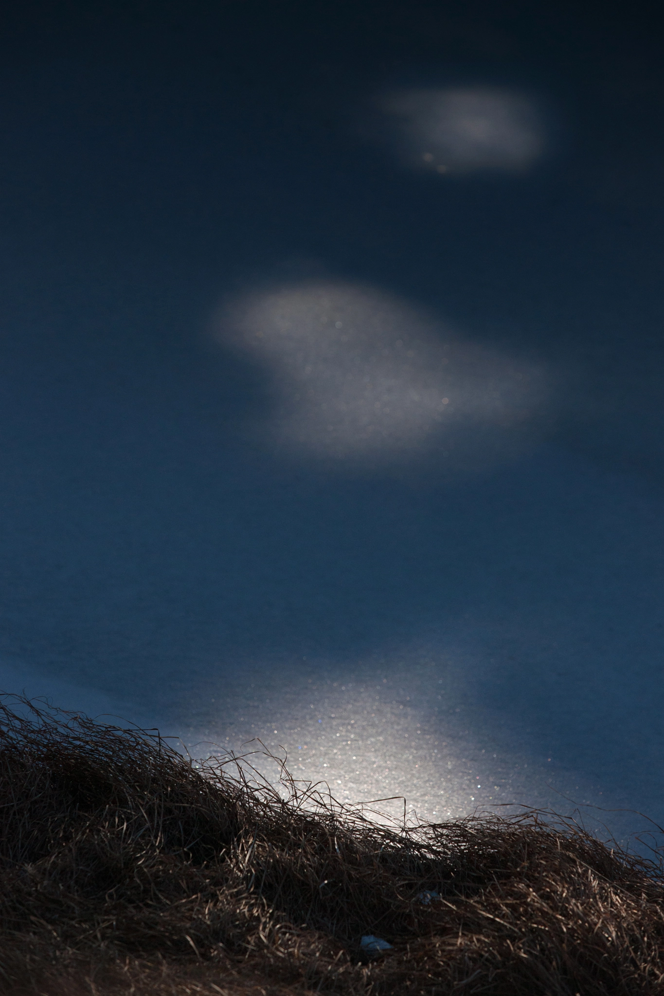 Minolta/Sony AF 70-200mm F2.8 G sample photo. December mood photography