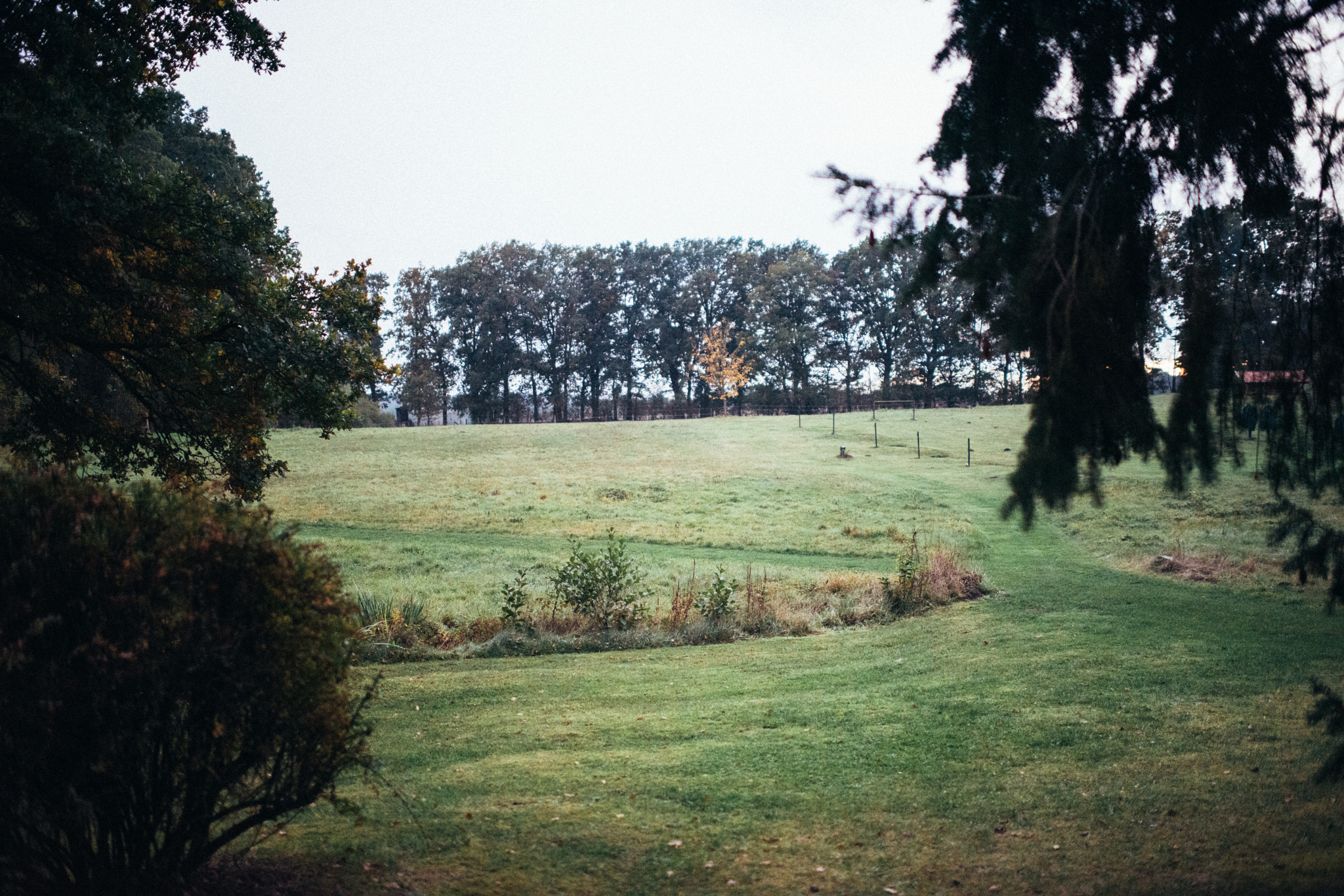 Nikon D810 + Nikon AF-S Nikkor 35mm F1.4G sample photo. Bucolic photography