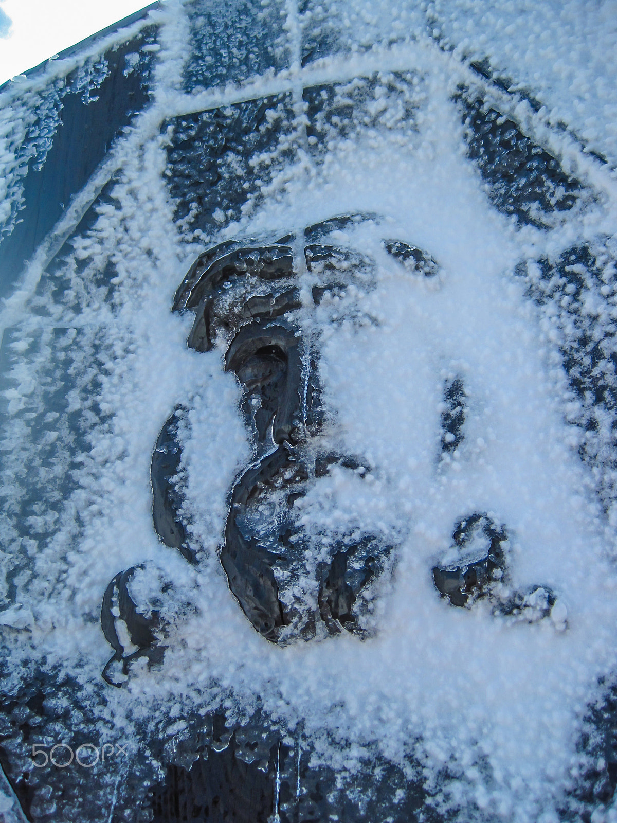 Canon PowerShot SD1200 IS (Digital IXUS 95 IS / IXY Digital 110 IS) sample photo. "the frozen face" photography