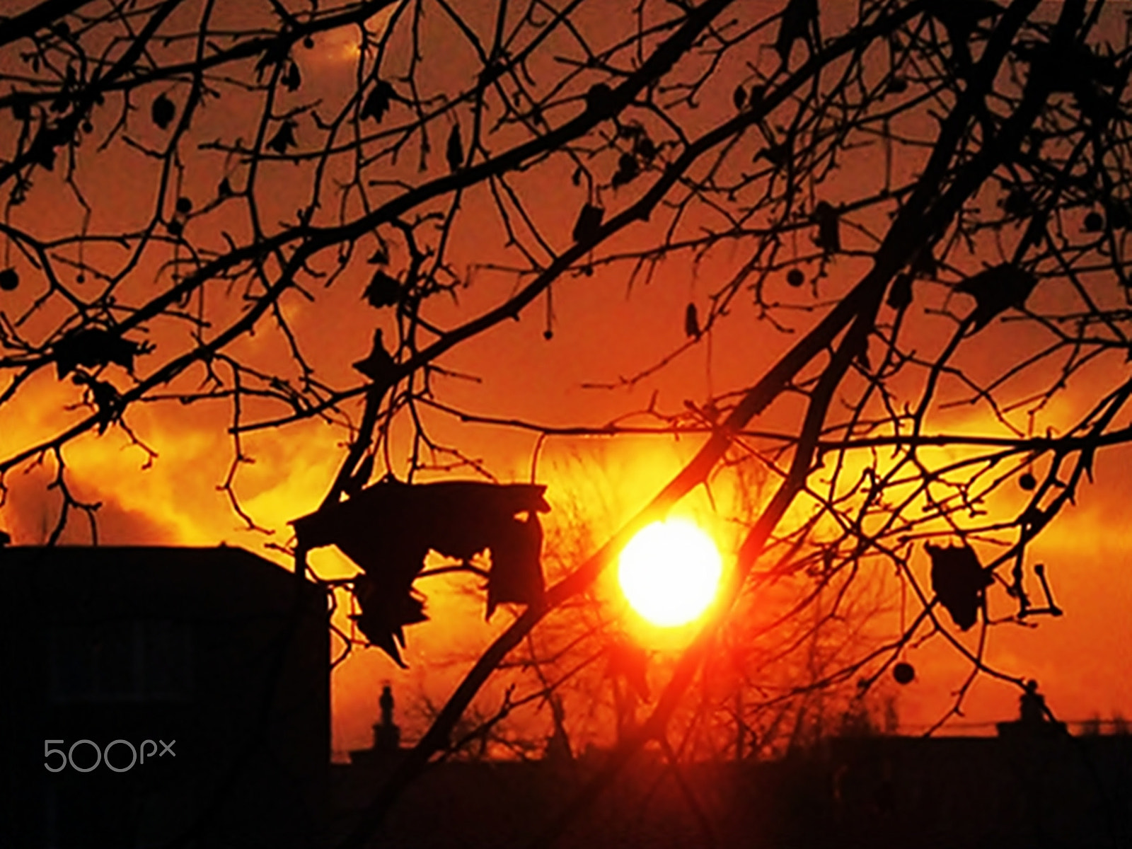 Canon PowerShot A800 sample photo. Sunrise photography