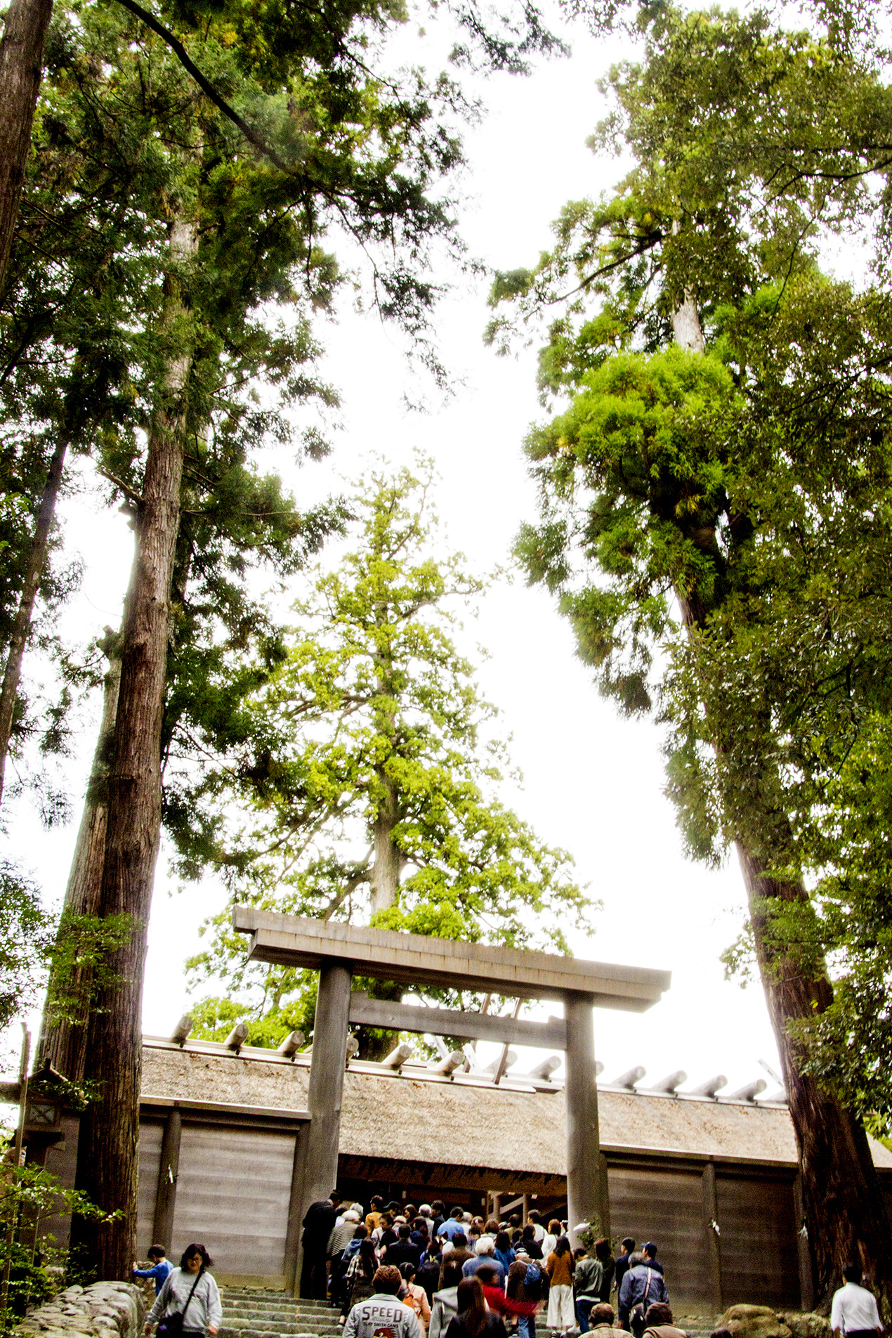 Canon EOS 650D (EOS Rebel T4i / EOS Kiss X6i) sample photo. Worship photography